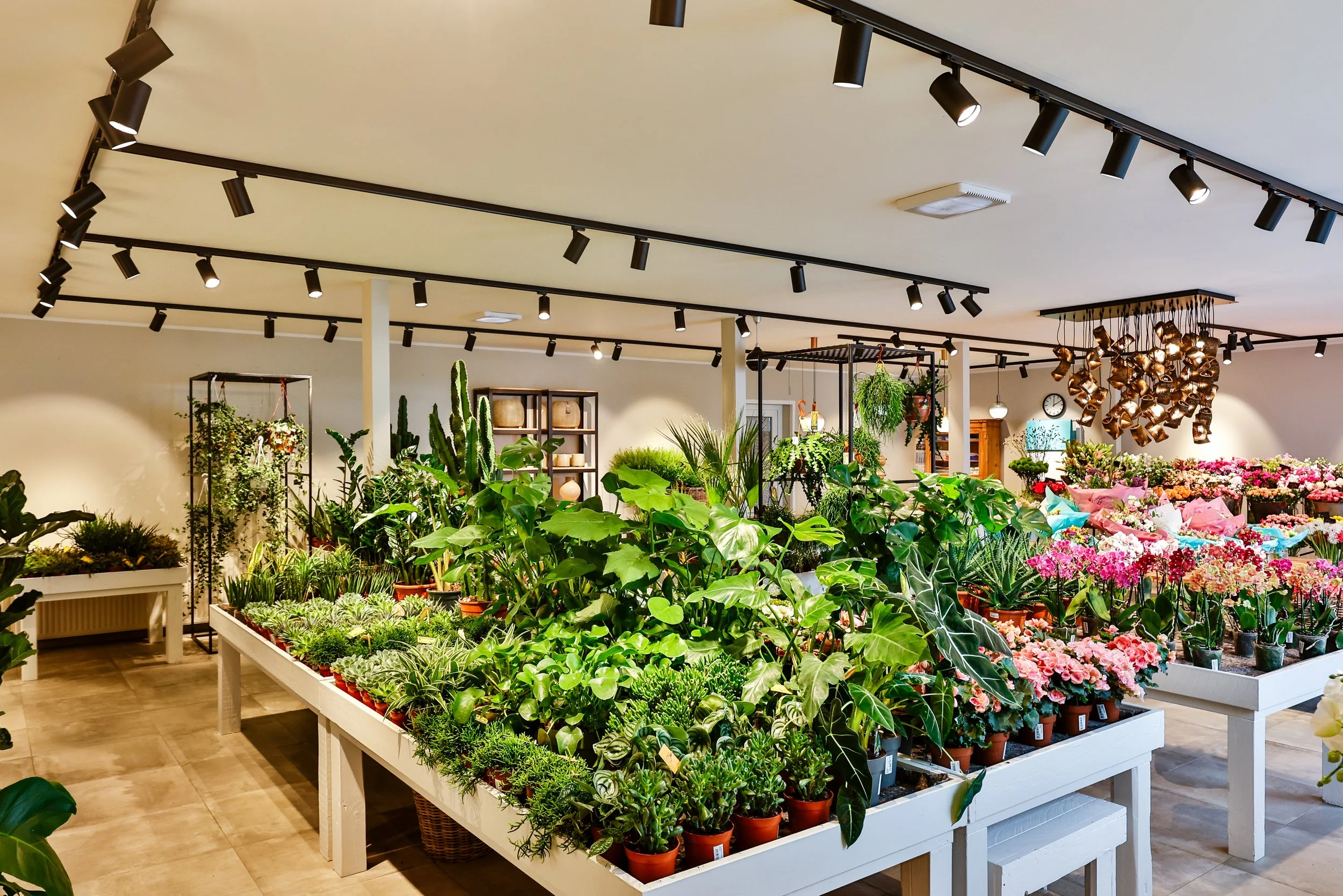 Innenraum eines Gartencenters mit einer Vielzahl an Zimmerpflanzen, Blumen und Dekorationsartikeln, beleuchtet von schwarzen Deckenstrahlern.