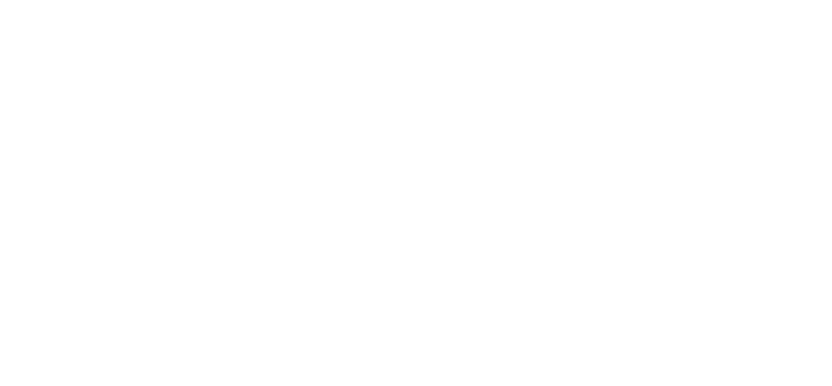 Vivify
