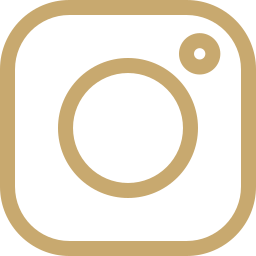 Icon of a camera in a beige and black color scheme