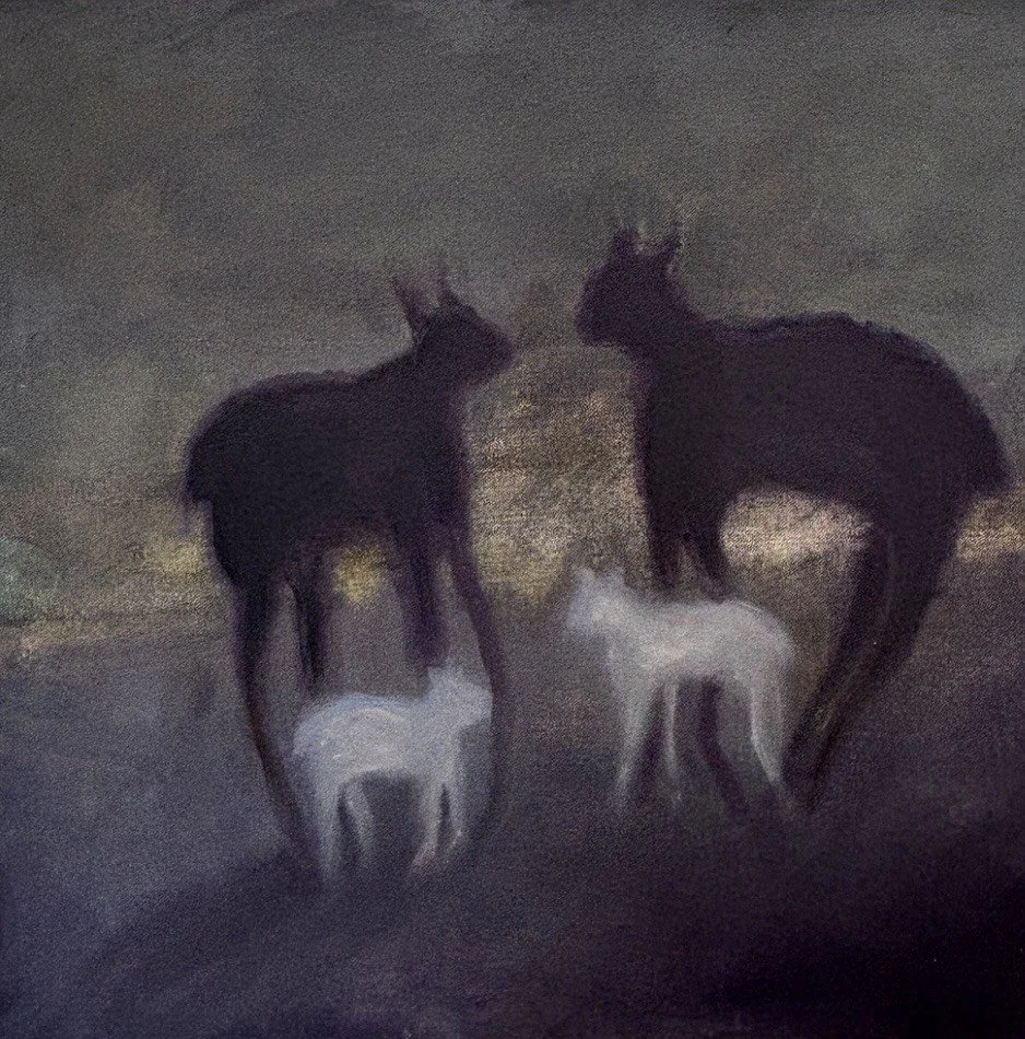 'Resonance', Oil on Canvas, 40x40cm