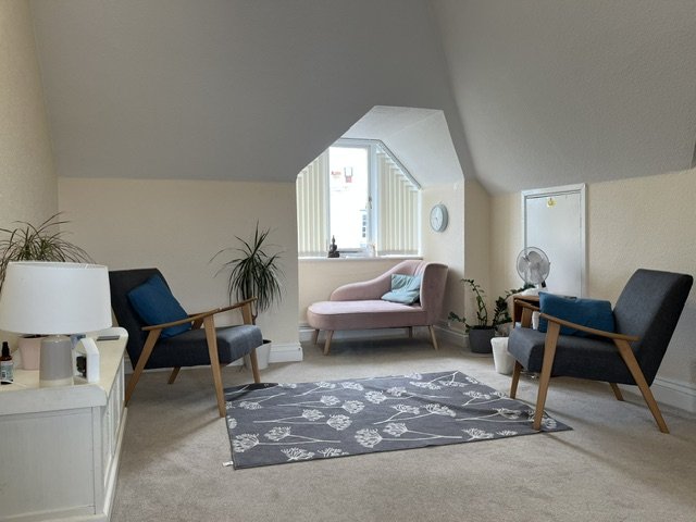 A peaceful consulting room with two armchairs, a pink chaise lounge near a window, a gray rug with floral pattern, and potted plants