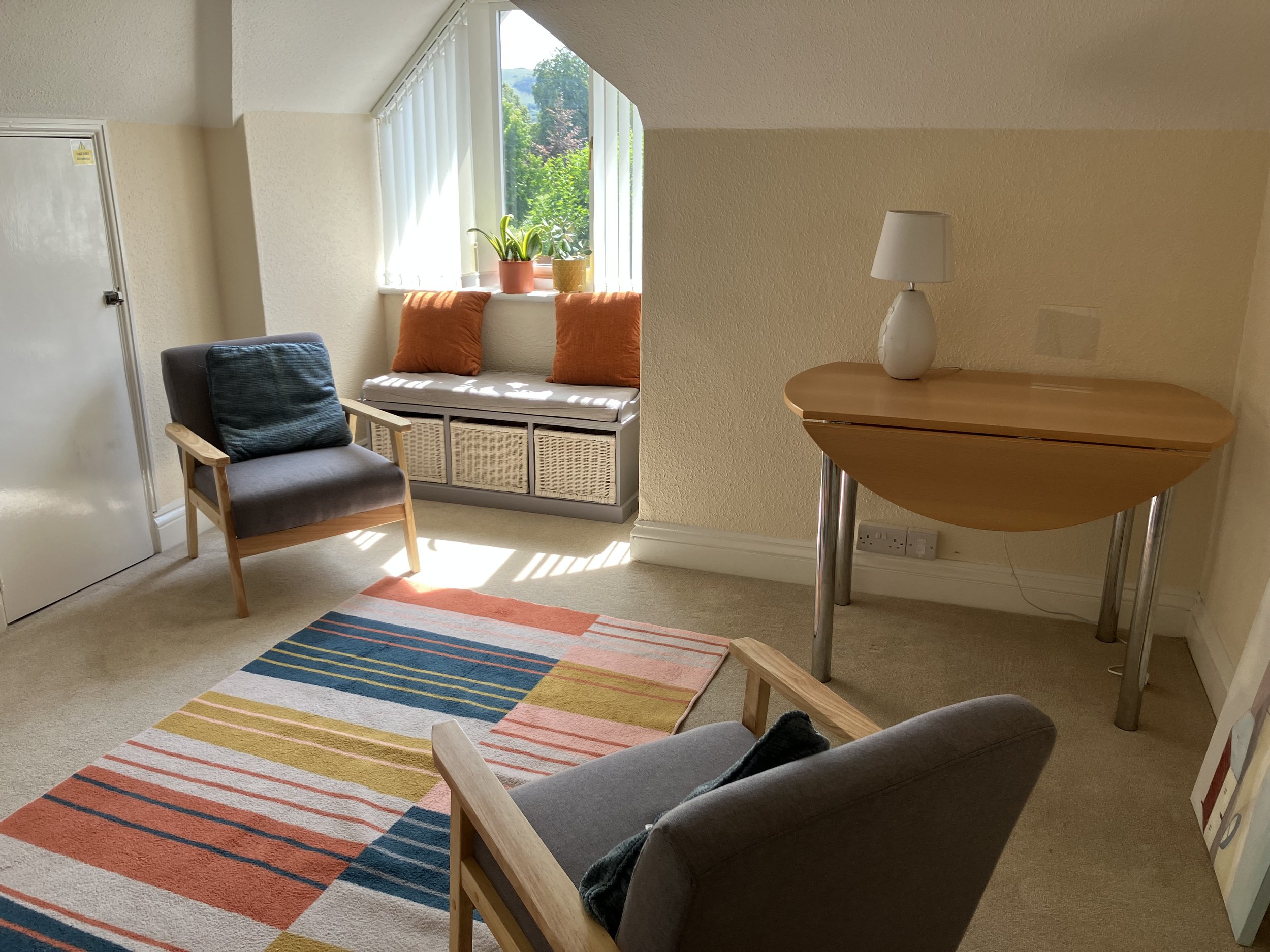 A  room with two armchairs, one with a dark gray cushion and the other with a blue cushion, a colorful striped rug, a window with vertical blinds and orange pillows, potted plants on the windowsill, a wooden table with a white lamp, and a view of green trees outside.