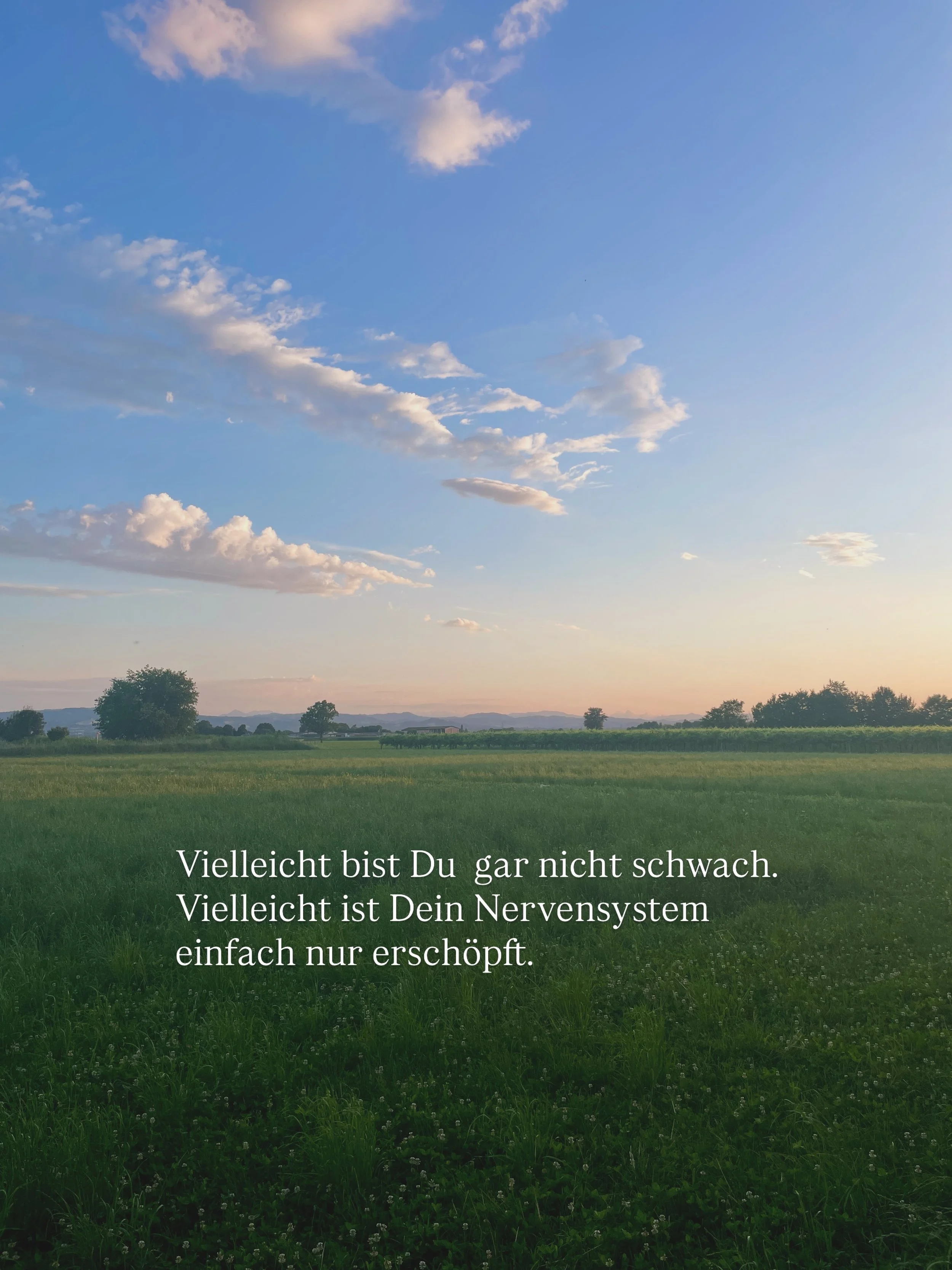 Manchmal braucht unser Nervensystem nicht noch mehr Angst und Kampf &mdash; sondern Sicherheit, Ruhe und Entlastung.

Entspannung kann man wiedererlernen. 

Deshalb habe ich eine kostenfreie Audio-Meditation aufgenommen.

Kommentiere &bdquo;Meditatio