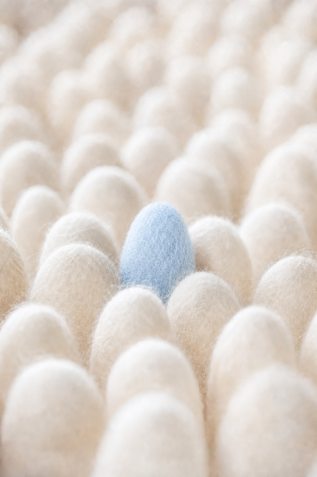 Une rangée de boules de coton crème avec une seule boule bleue au centre.