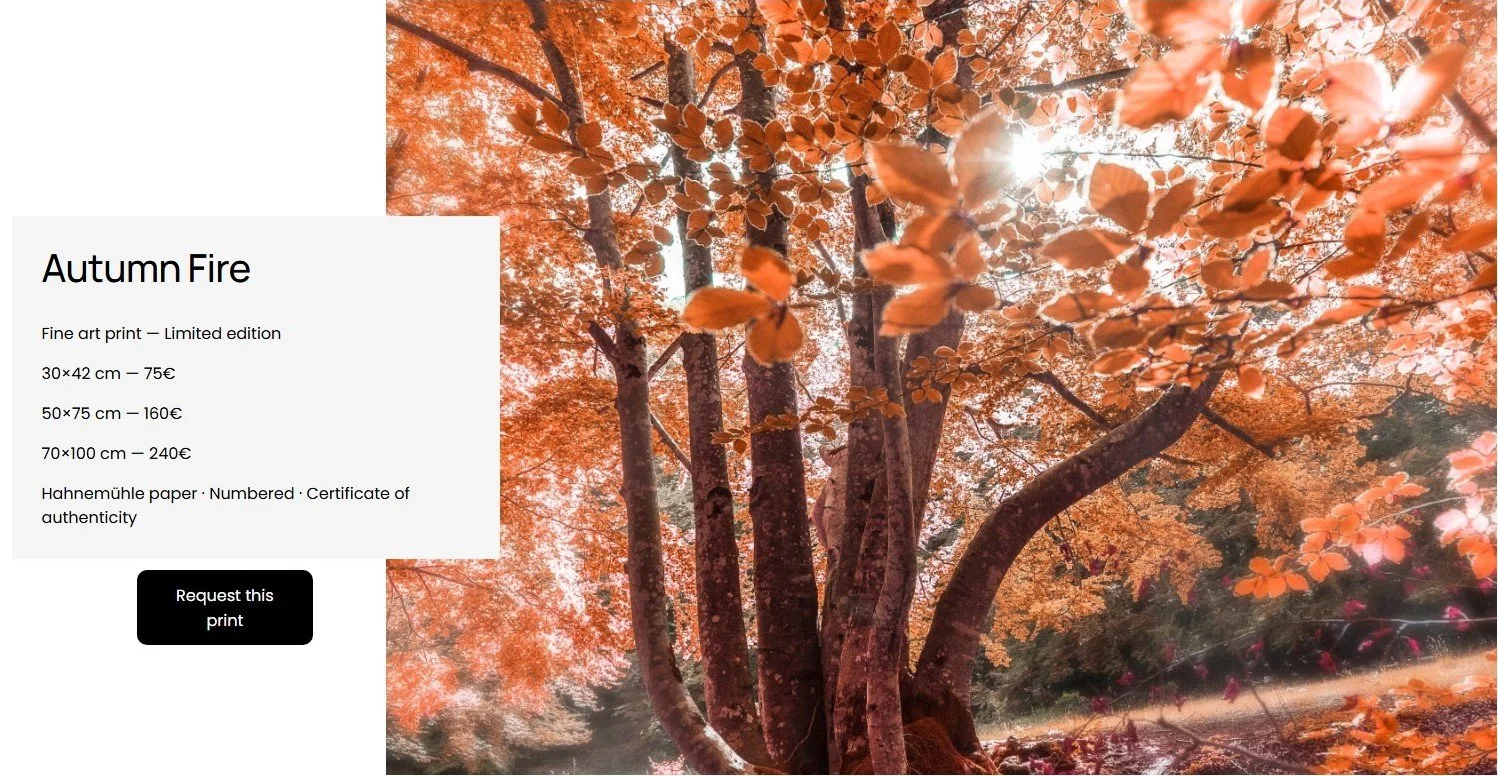 Faggeta di Filettino Lazio — autumn forest with orange and red foliage in golden sunlight — fine art landscape photography print by Hermes Gray, limited edition