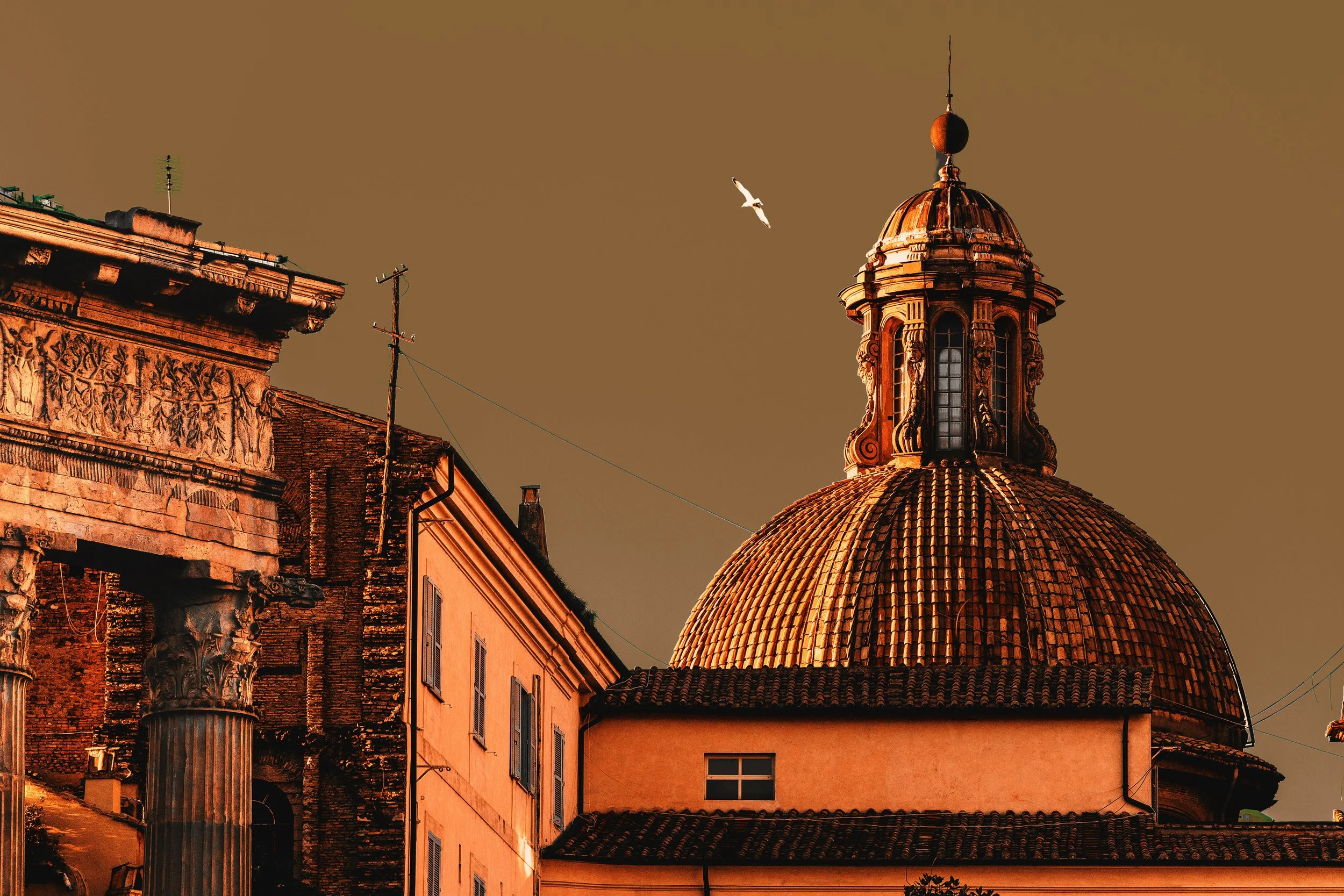 Buildings with ornate architecture, a clock tower with a rounded dome, and flying seagulls against a brown sky.