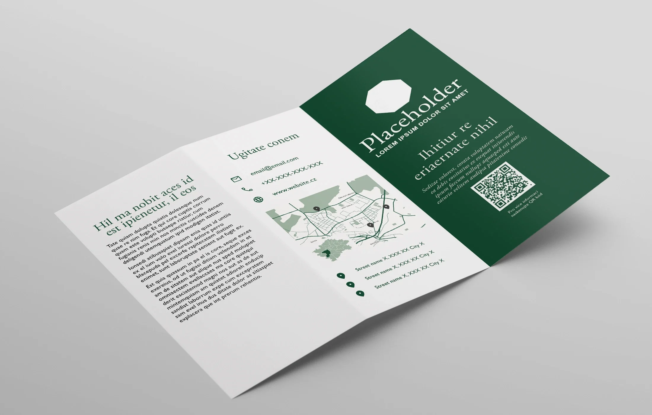 trifold mockup 3.webp