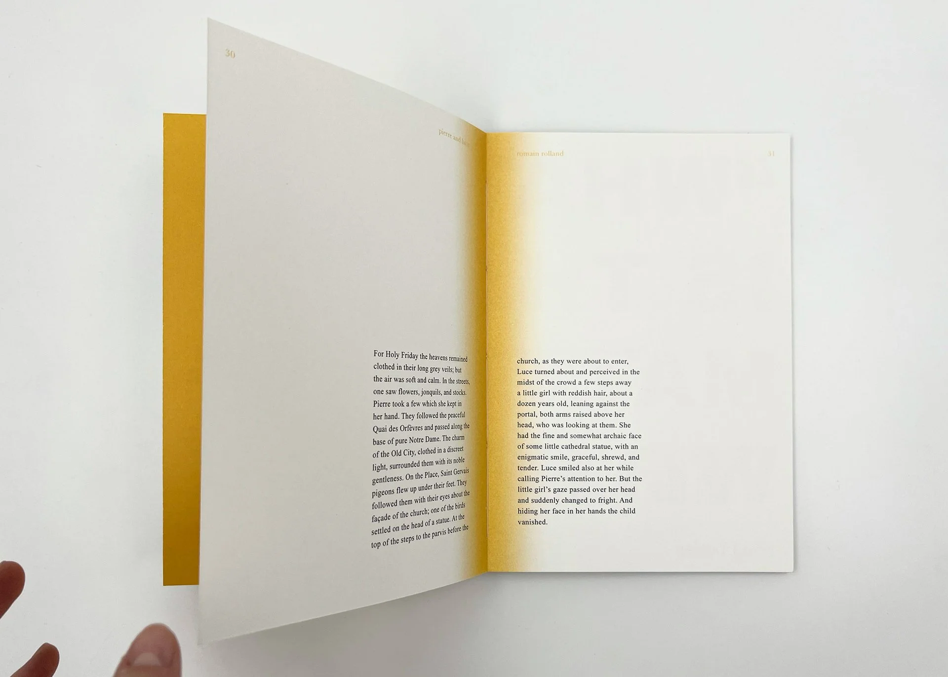 Pierre & Luce book redesigned.jpg