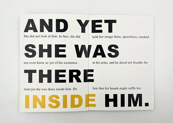 Pierre & Luce book redesigned3.jpg