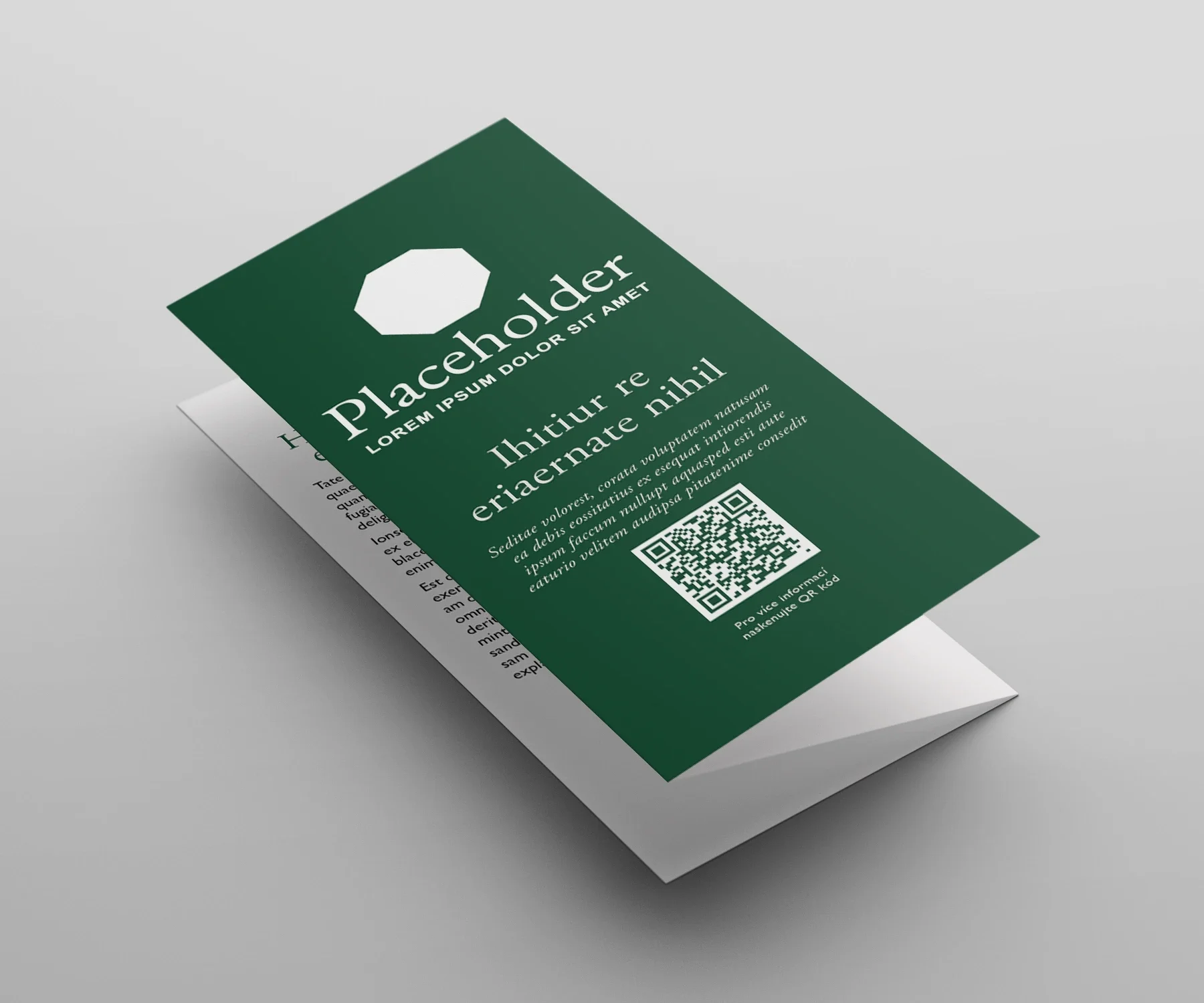 trifold mockup 1.webp