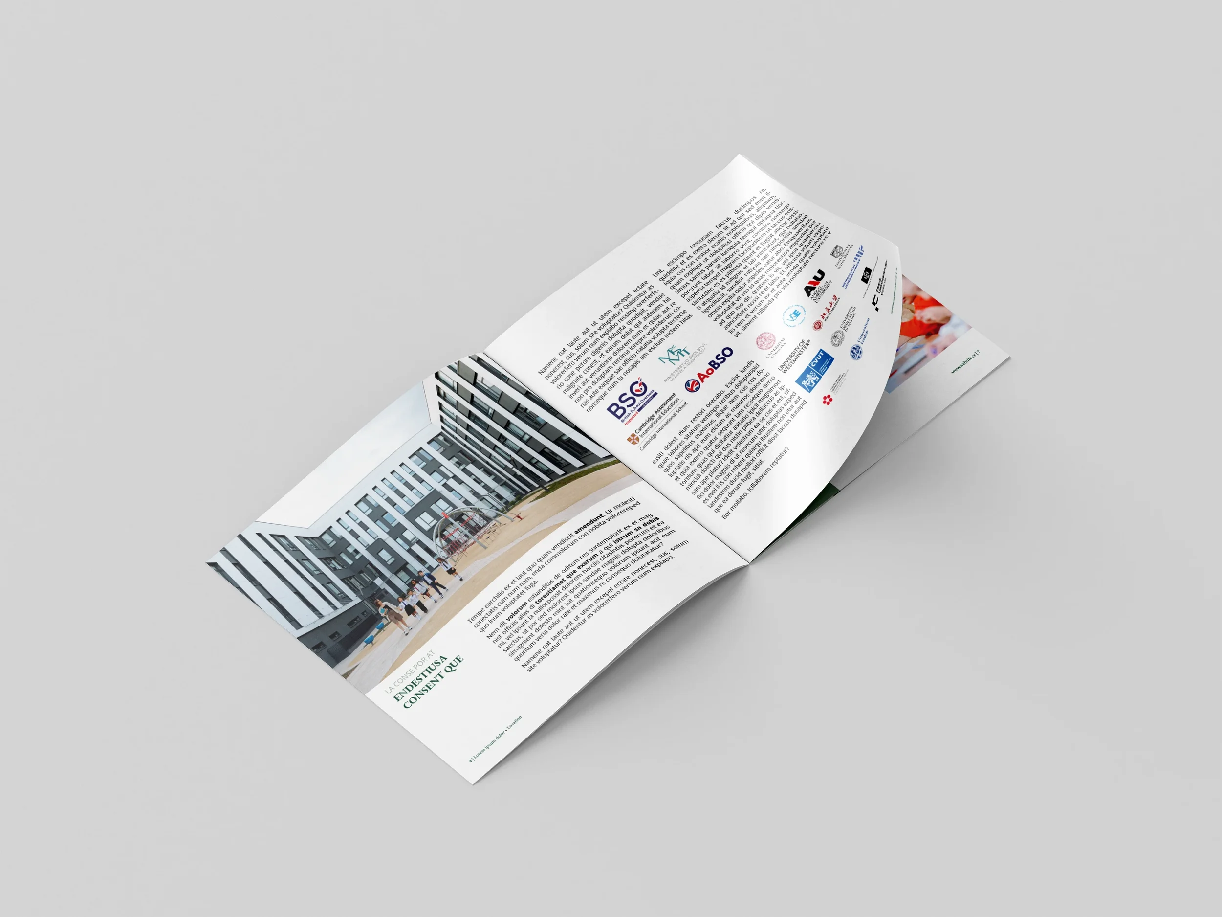 School brochure