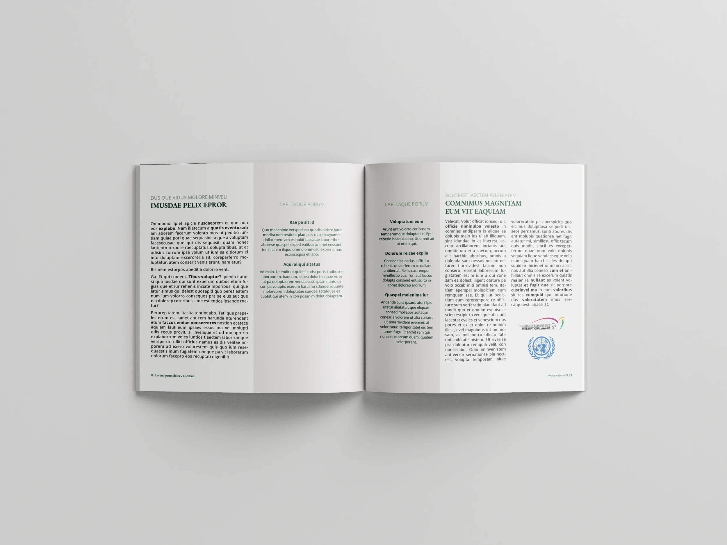 School brochure