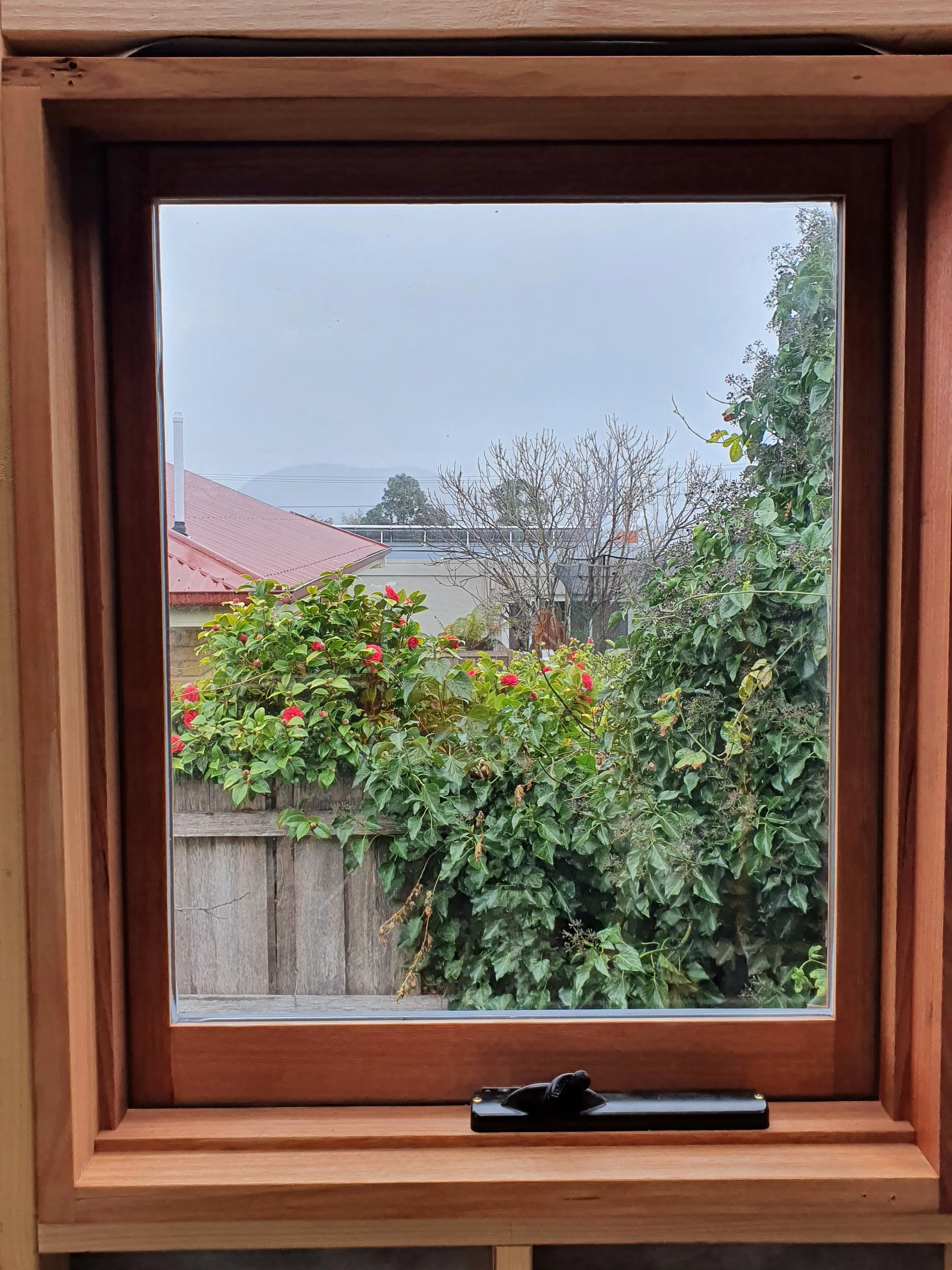 View out the window of a shed built by a homeowner under the mentorship of Ground Up's mentorship services