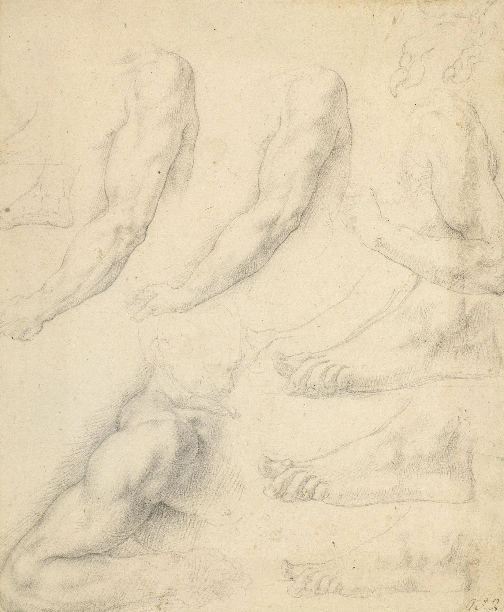   Limbs, a bird's talon, studies for the Agony in the Garden, Giovanni Ambrogio Figino, c. 1570-79, black chalk, 22.4 x 18.3 cm, Collection: Royal Collection Trust, UK  
