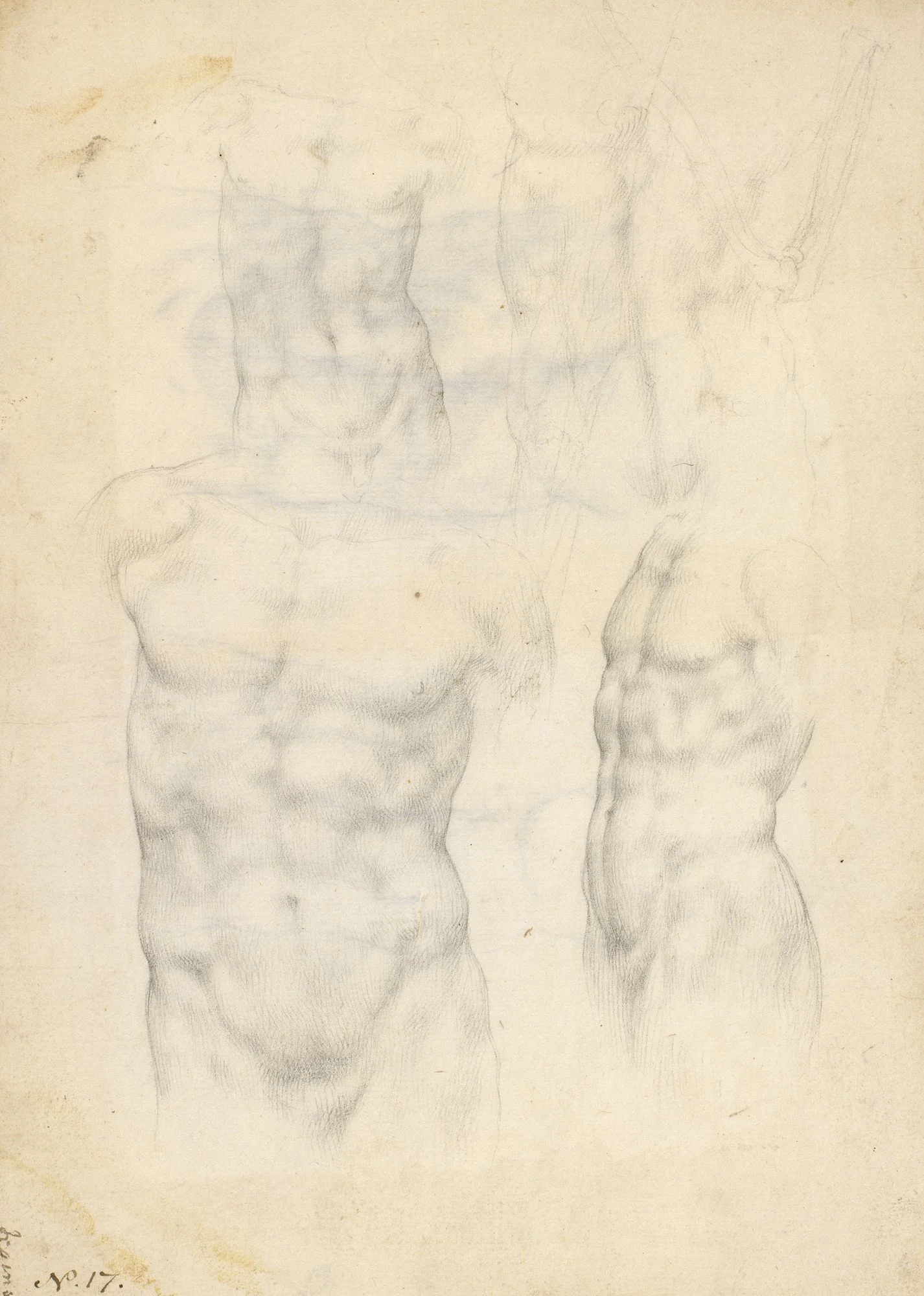   Male torsos and bones of an arm, Giovanni Ambrogio Figino, c.1570-80, Black chalk, 25.1 x 18.1 cm, Collection: Royal Collection Trust, UK  