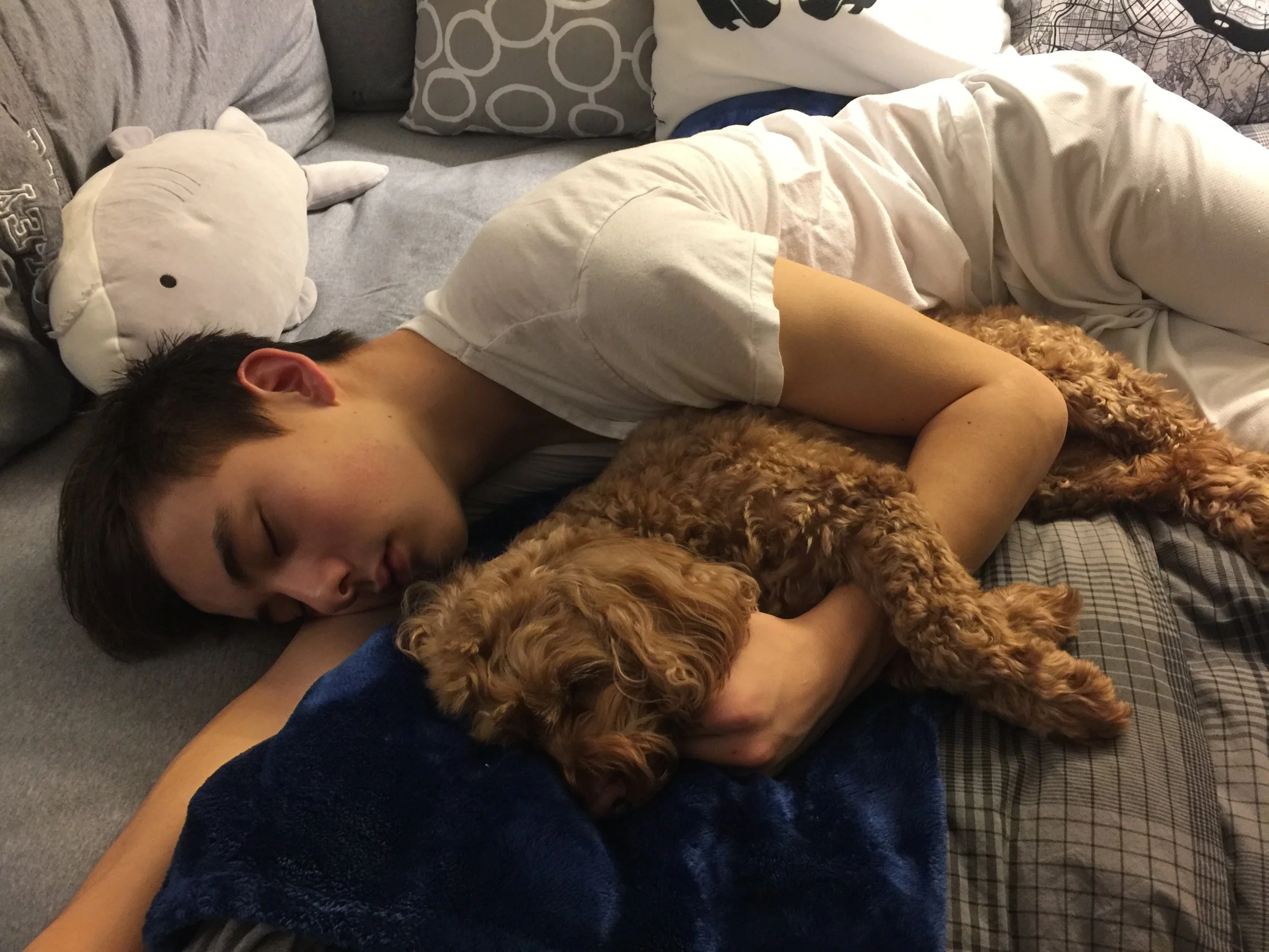 Lu & R sleeping.JPG