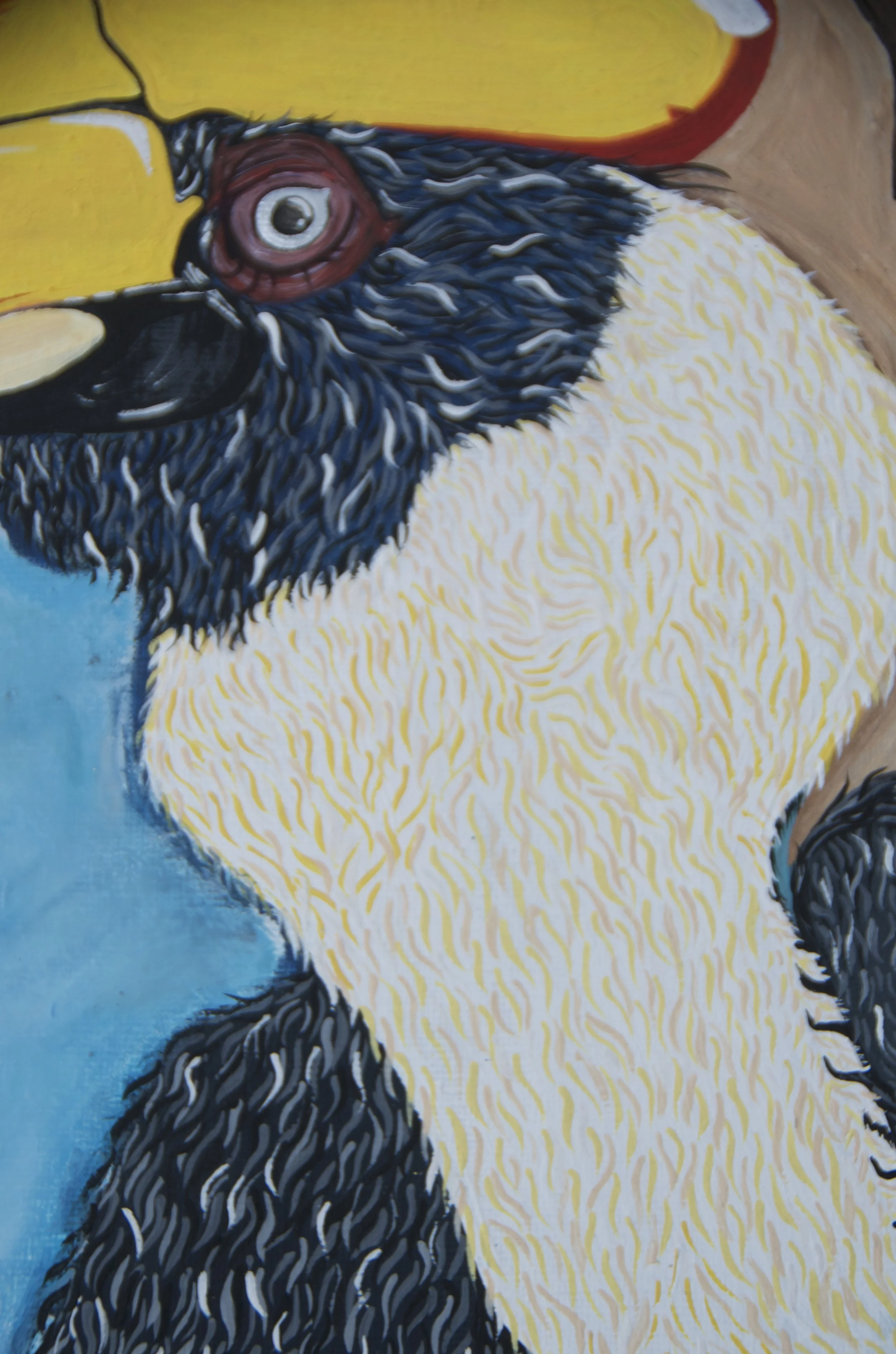 hornbill v 4.jpeg