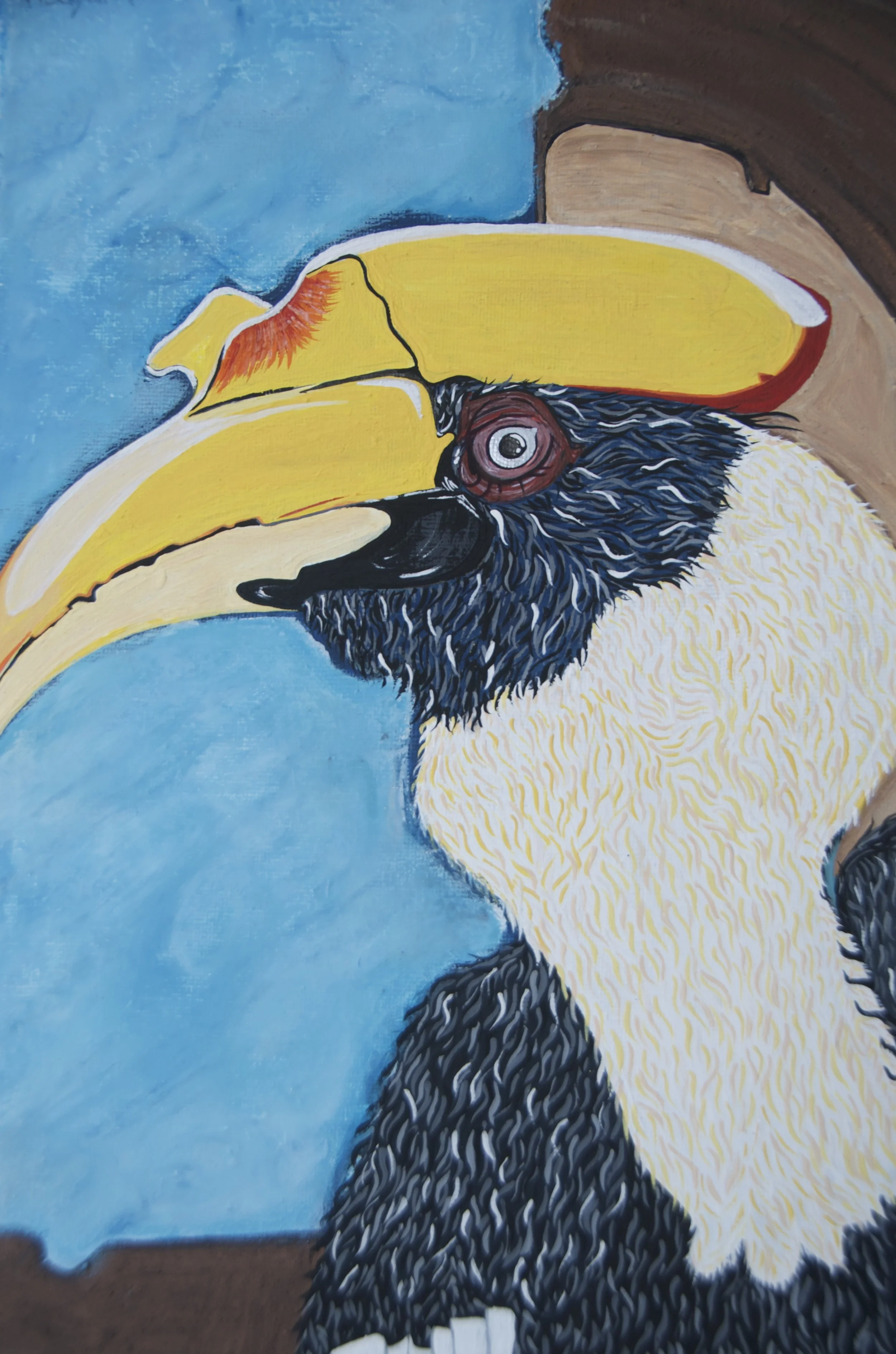 hornbill v 1.jpeg