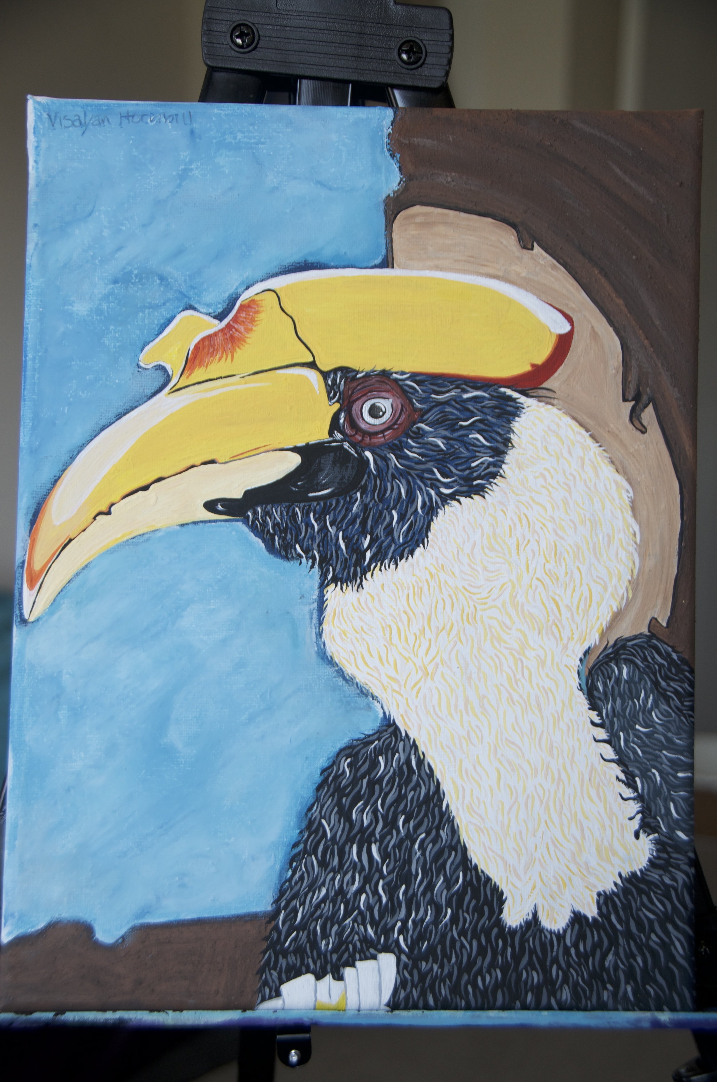 hornbill v 2.jpeg