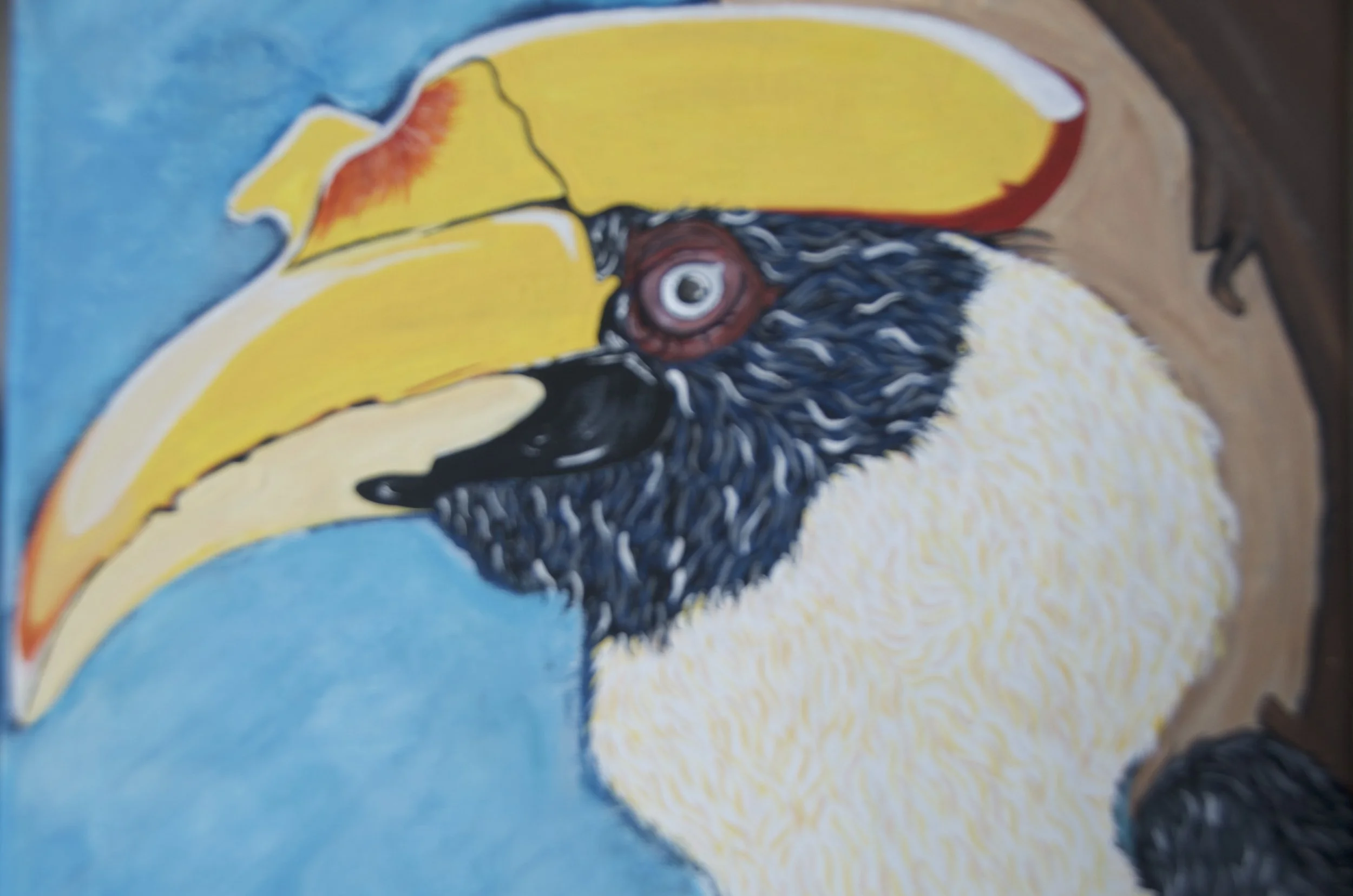 Visayan Hornbill Acrylic & Oil Pastel