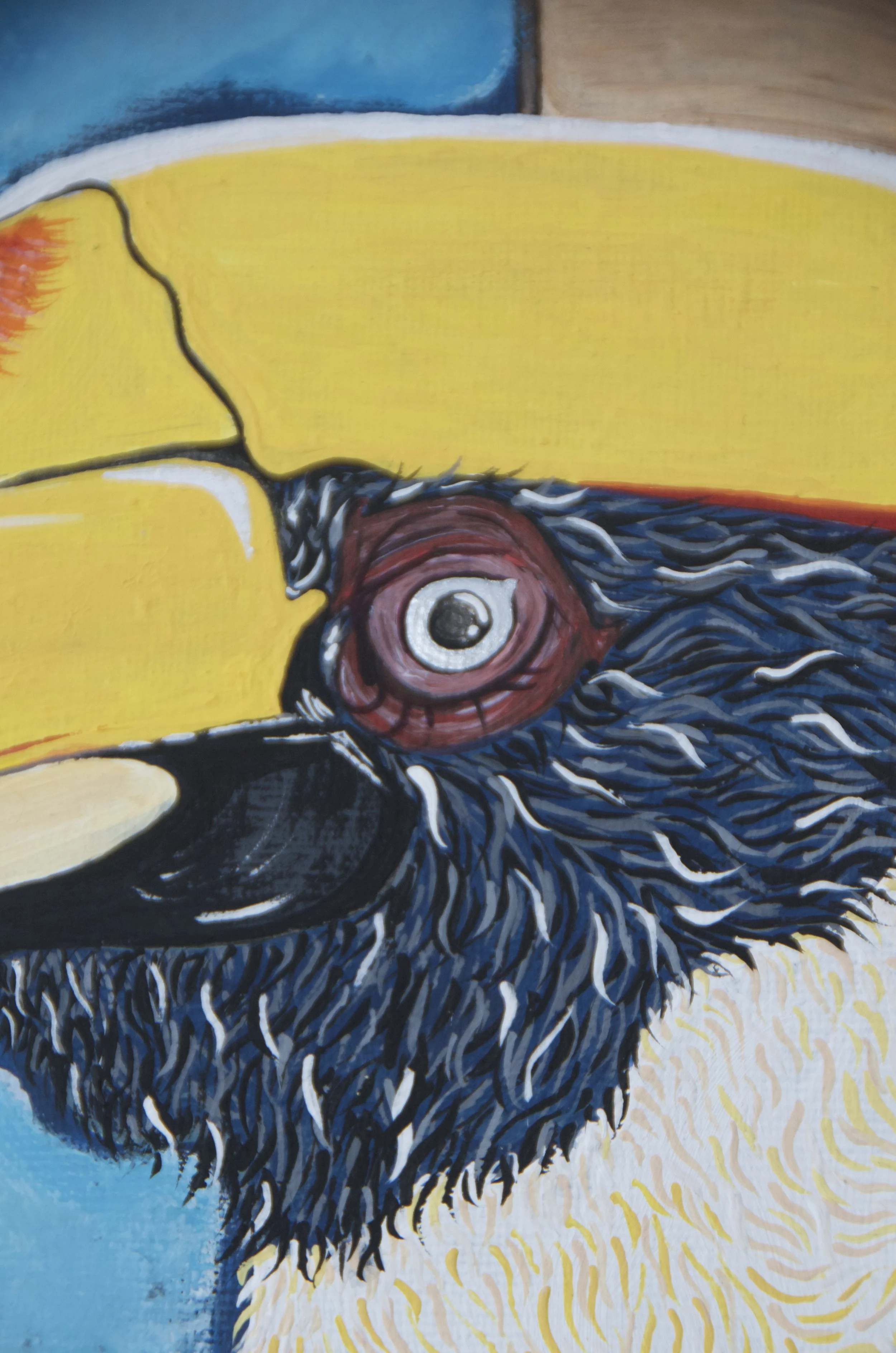 hornbill v 5.jpeg