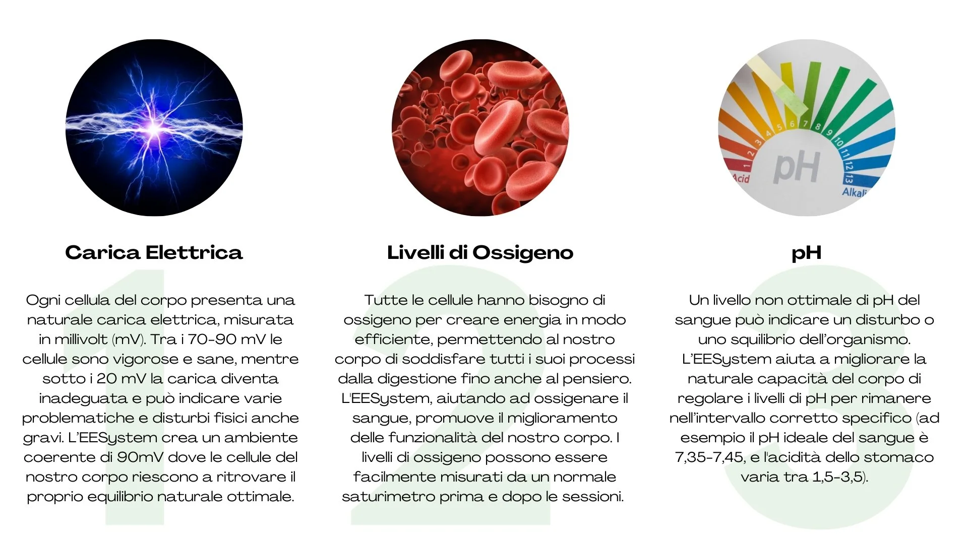 Infografica con tre sezioni: Carica Elettrica, Livelli di Ossigeno e pH. Carica Elettrica mostra un'immagine di scariche elettriche blu e viola, con testo che spiega che le cellule umane hanno una carica elettrica tra 70-90 mV. Livelli di Ossigeno rappresenta un'immagine di globuli rossi, con testo che indica l'importanza dell'ossigeno per il corpo e come viene misurato. pH mostra un diagramma con colori che rappresentano pH acido e alcalino, con testo che spiega come il livello di pH nel sangue indica il benessere o il squilibrio dell'organismo.