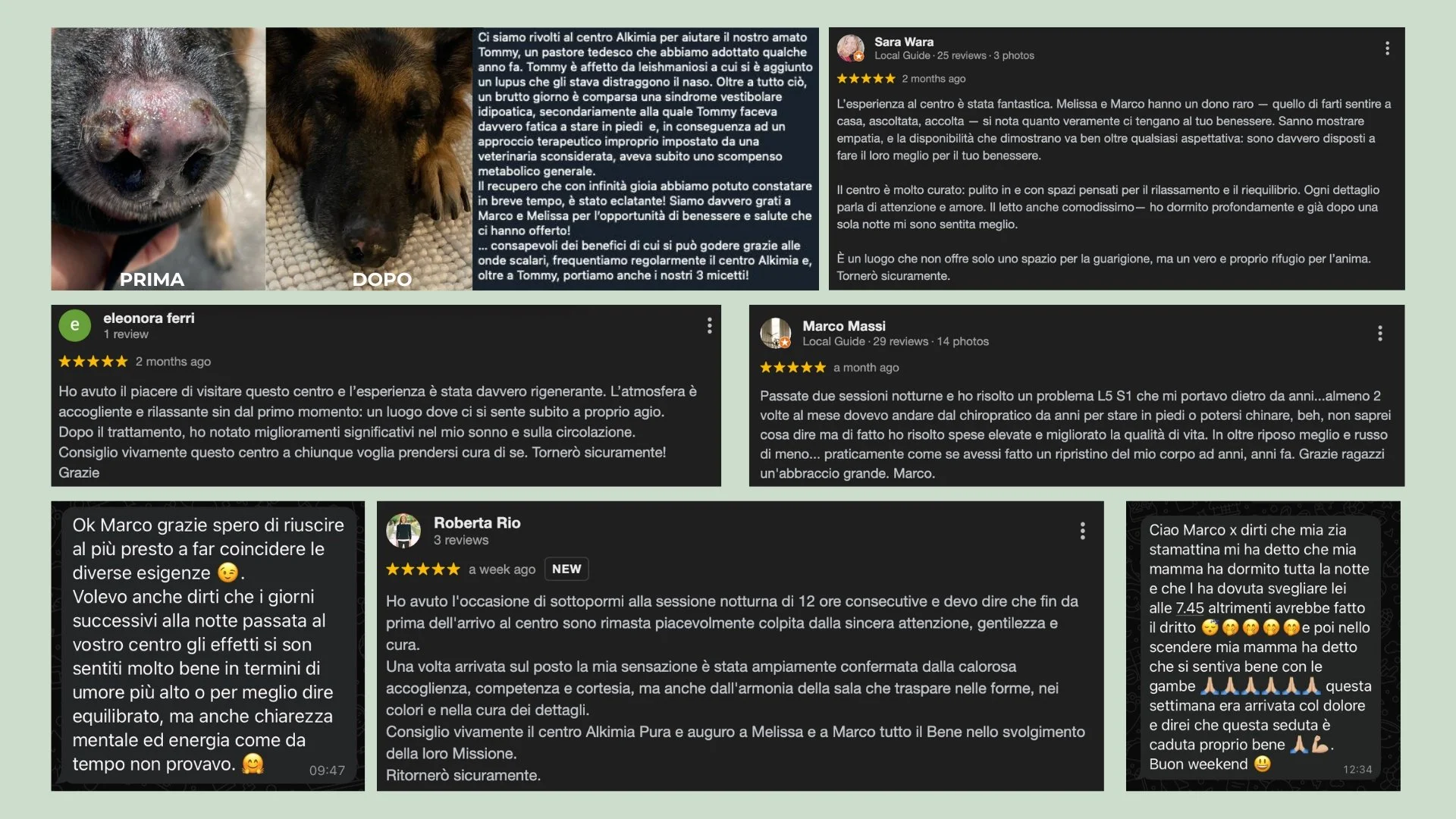 Testimonianze di clienti soddisfatti di un centro di riabilitazione per cani, con foto dei cani prima e dopo il trattamento, e recensioni positive sulla cura, attenzione e risultato raggiunto.