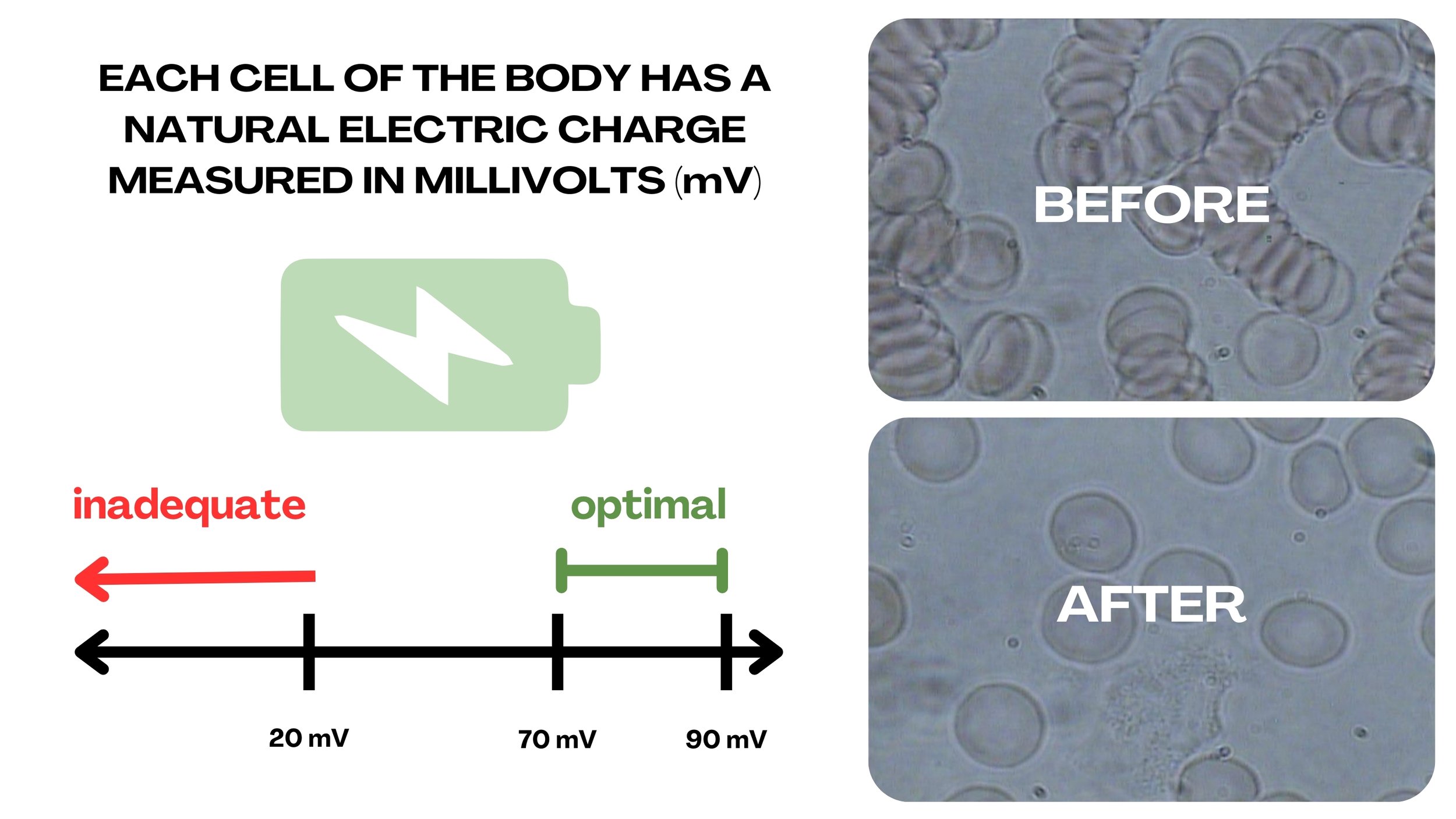 Diagramma che mostra la differenza tra cellule con carica elettrica naturale insufficiente e ottimale, con immagini delle cellule prima e dopo il trattamento, e un grafico con valori di millivolt.]