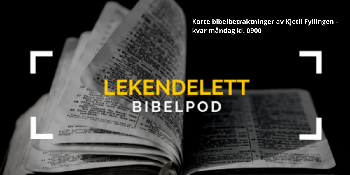 Gå ut og forkynn evangeliet