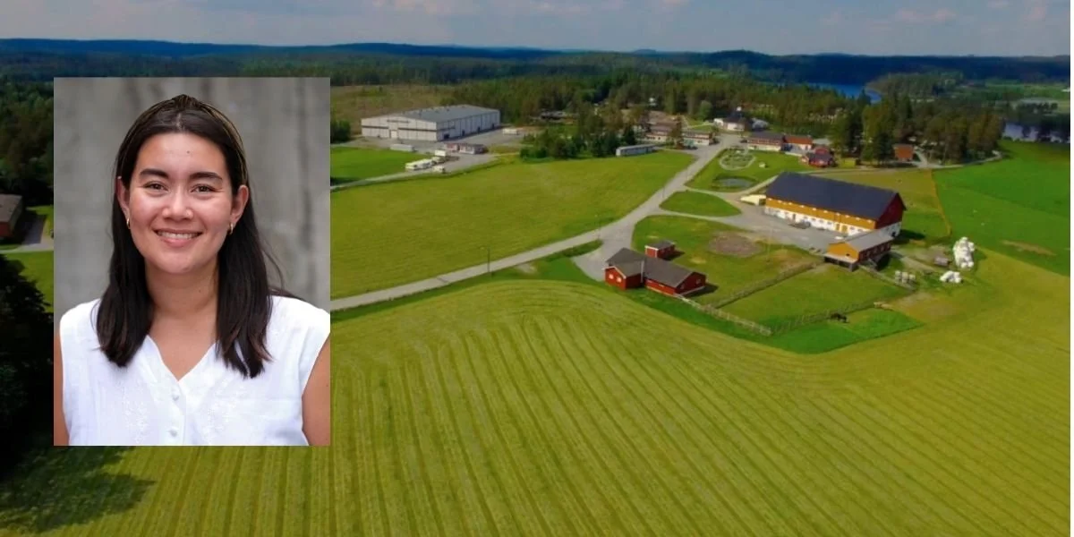 Evangeliesenteret sitt Landsstevne