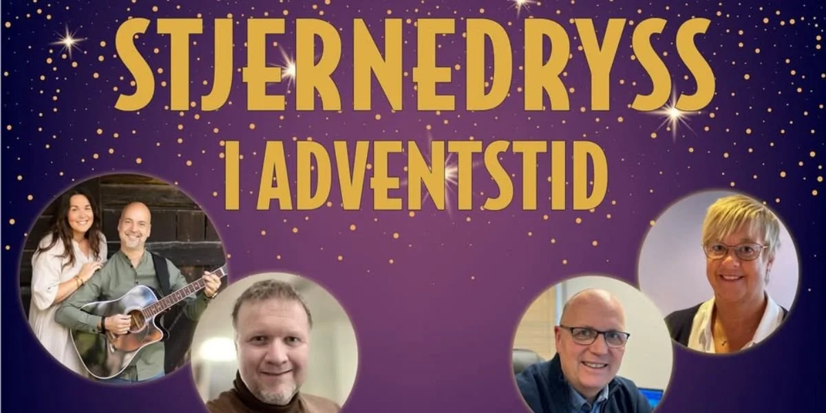 Stjernedryss i advent