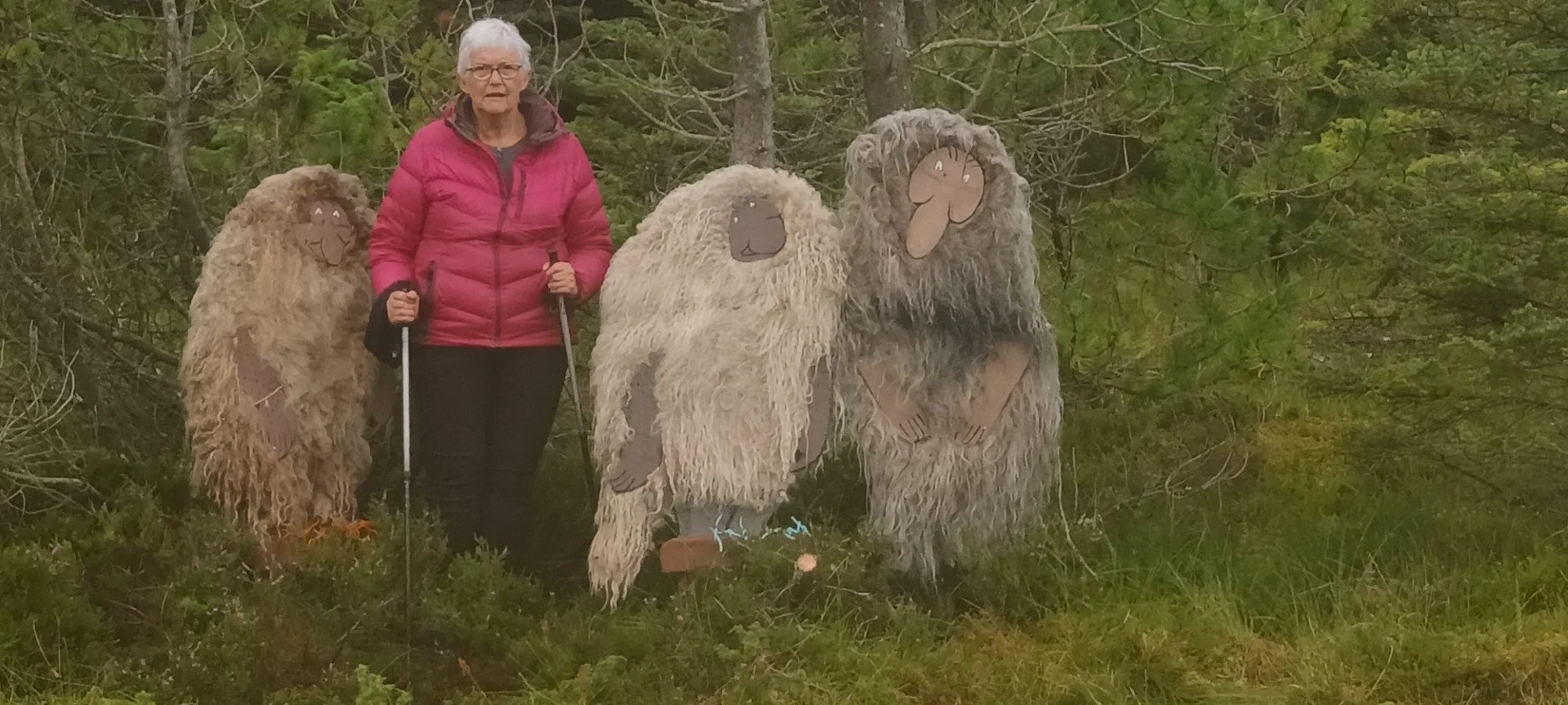 Eventyrlig skogstur på Lepsøya