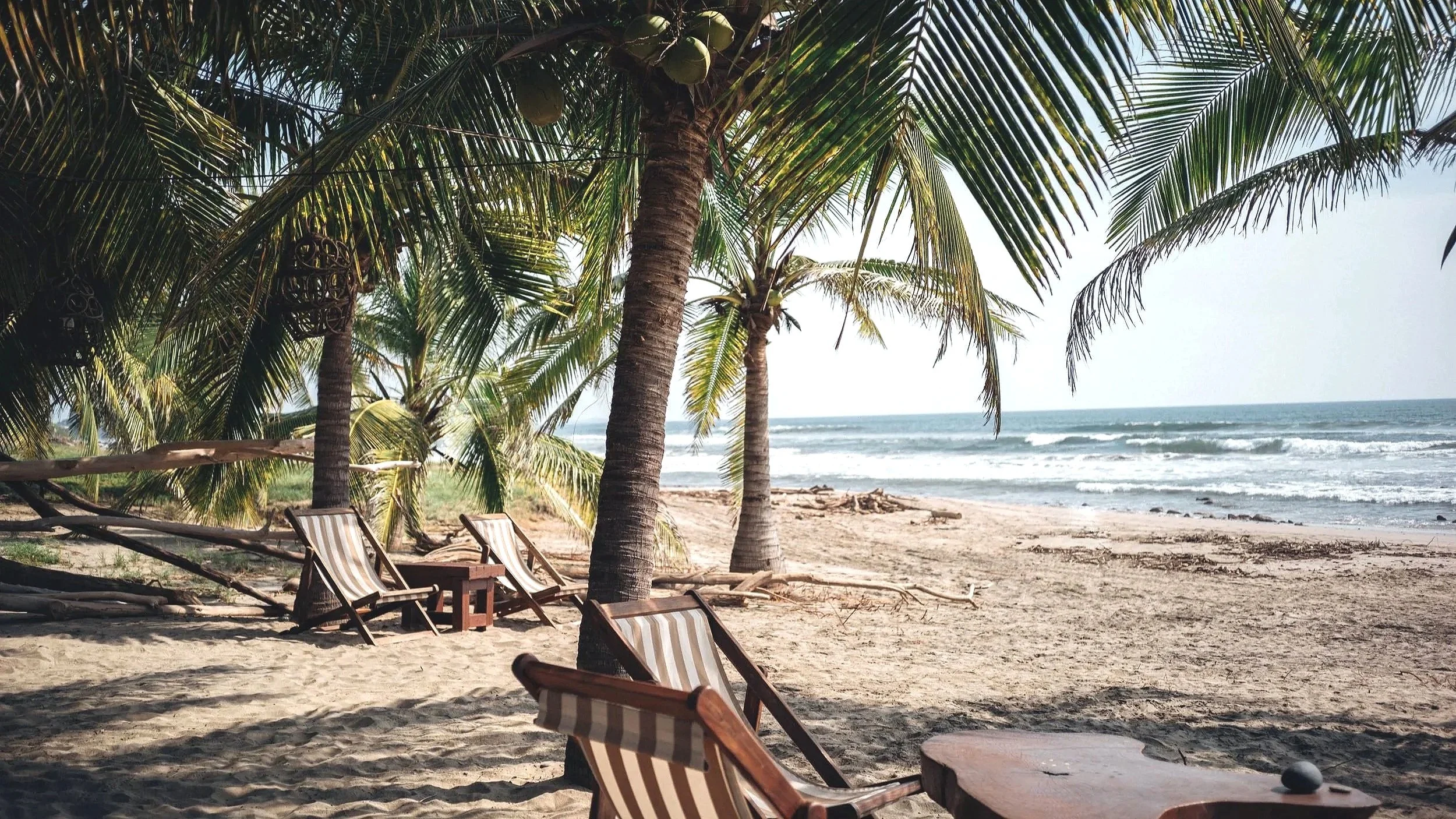 lo sereno - beach with palm trees and chairs