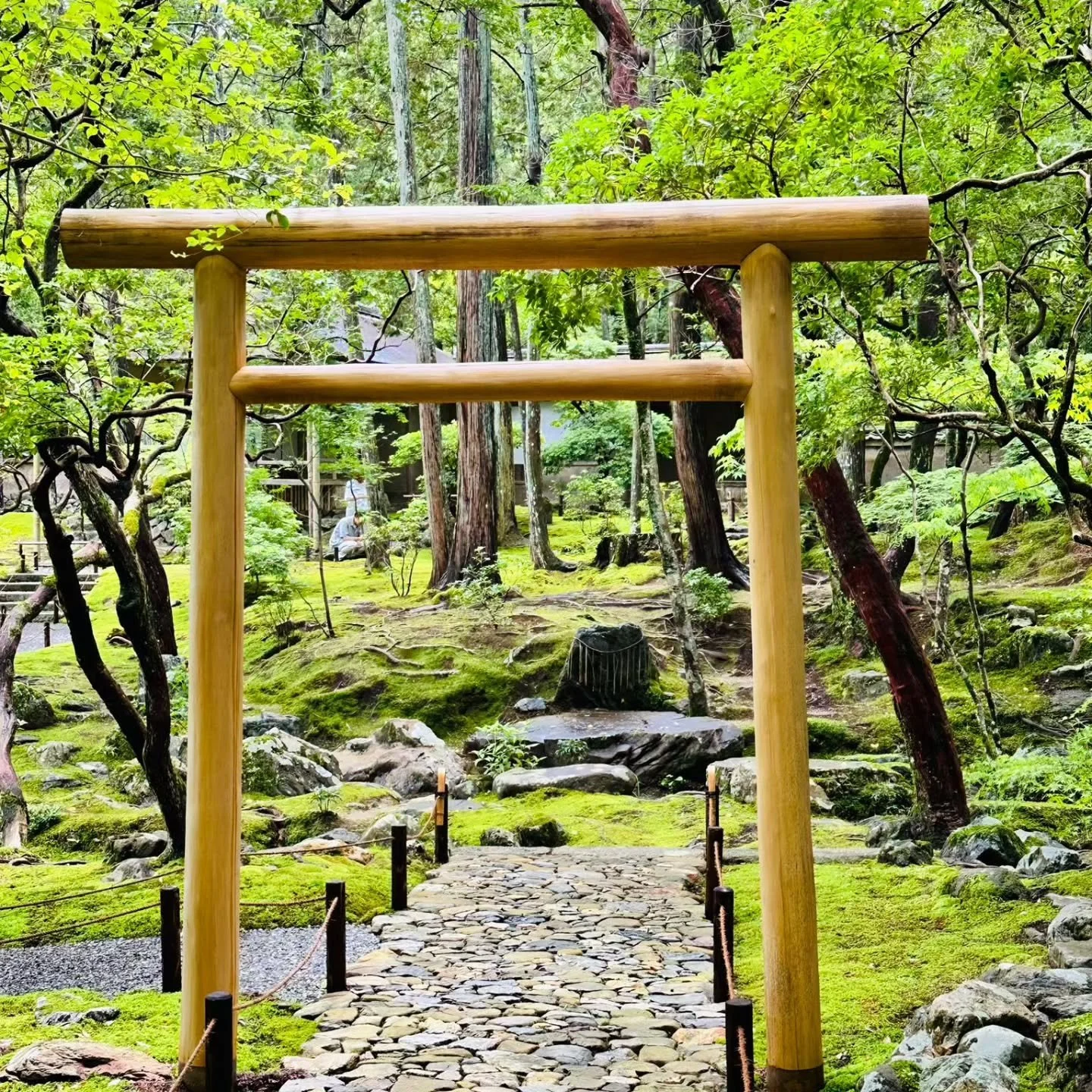 🌿 Rainy Season Temple Experiences with Hanamichi

Discover a different side of Japan this rainy season with one of our peaceful temple experiences.

Stay overnight at Mt. Shigi and take part in the early morning Goma Fire Ritual, a traditional Buddh