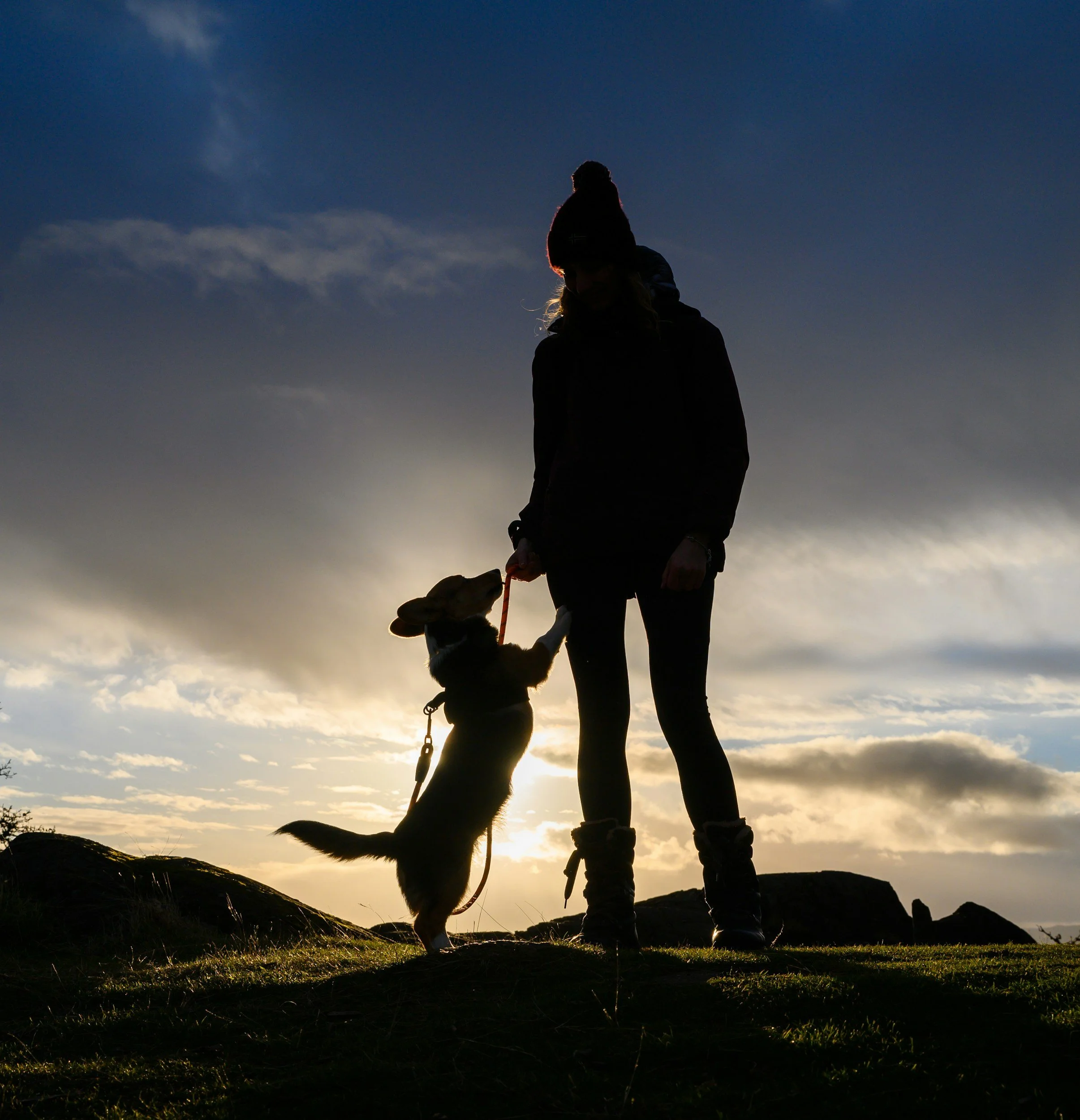 women and dog toegterh at sunset on a walk
