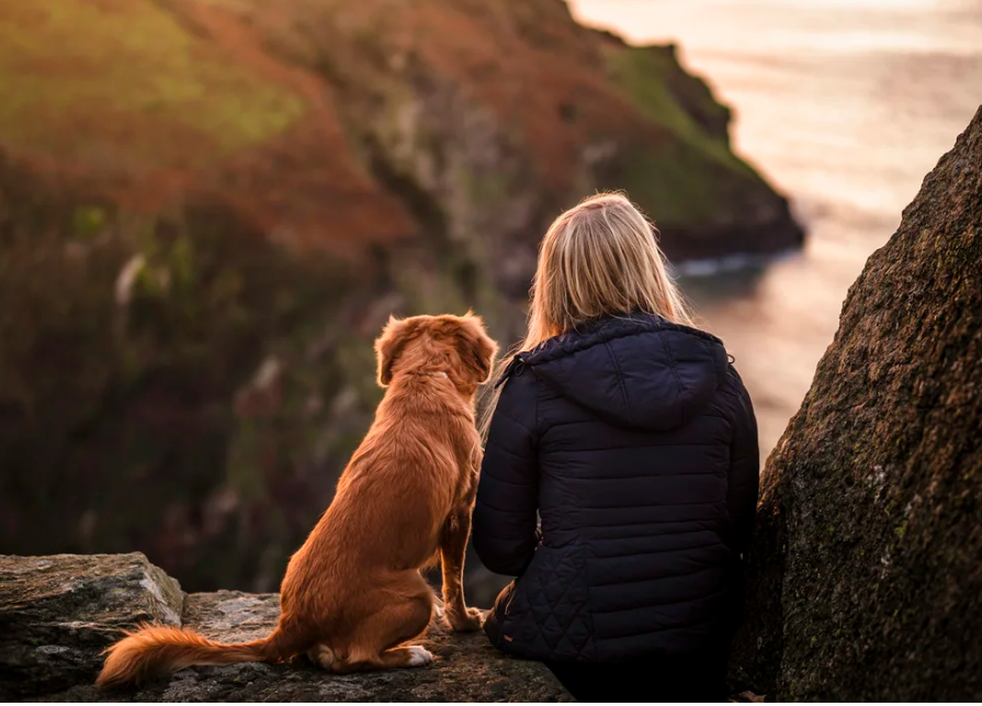 Dog Training Hack: The Secret To Success