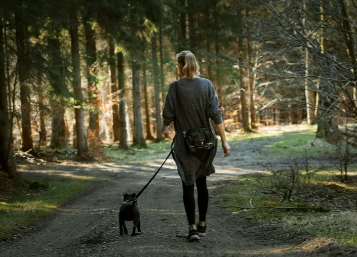 Dog Training Success: Measuring It &amp; Setting Goals