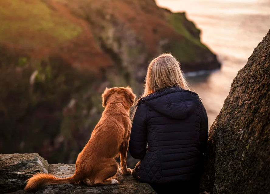 women and dog sat next to eachother and looking out to sea