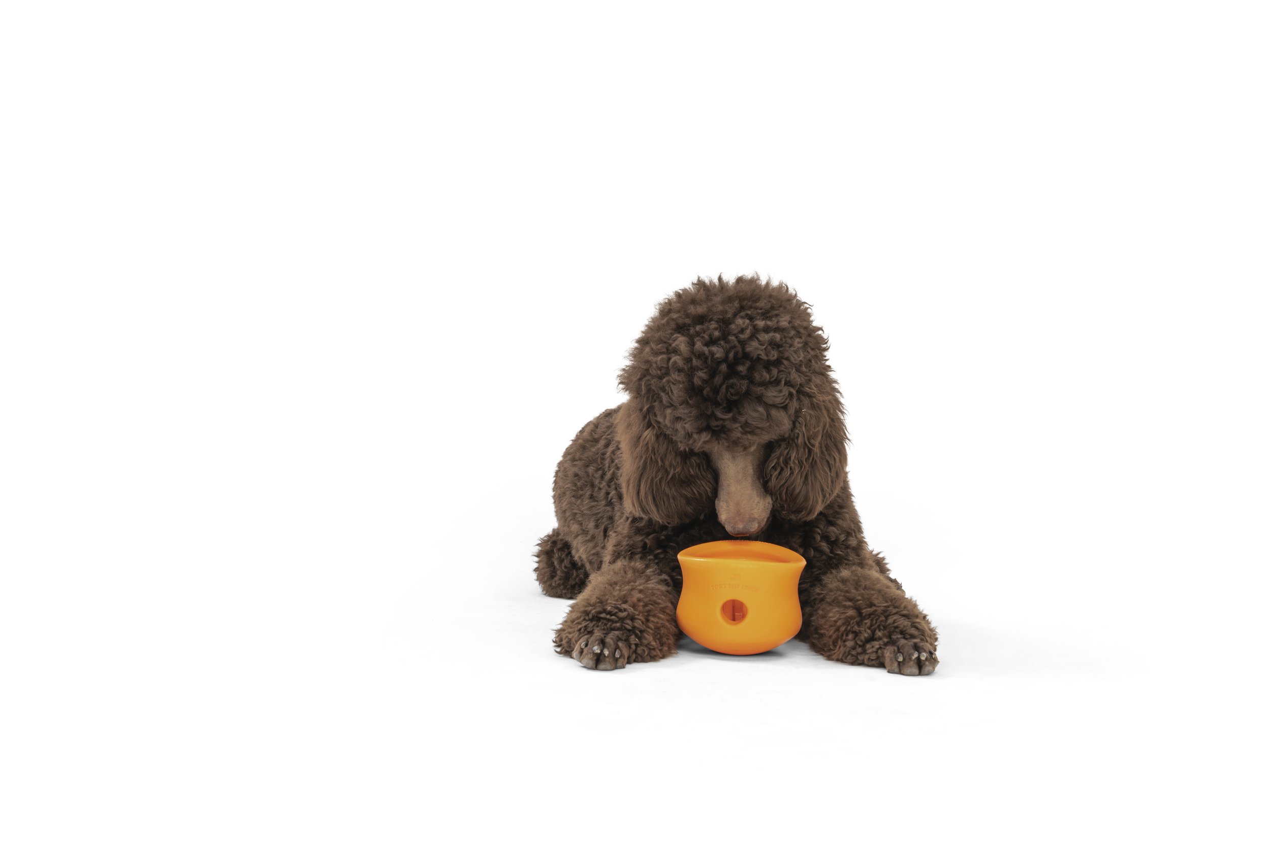 ZG085_TOPPL_TANGERINE_DOW.jpg