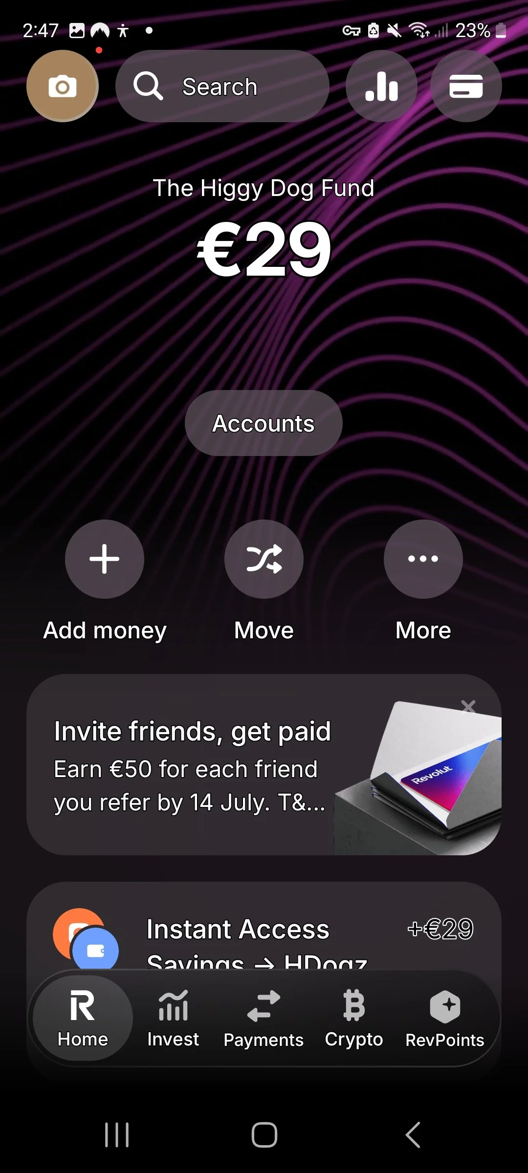 Screenshot of a mobile app showing account balance of €29 for 'The Higgy Dog Fund'