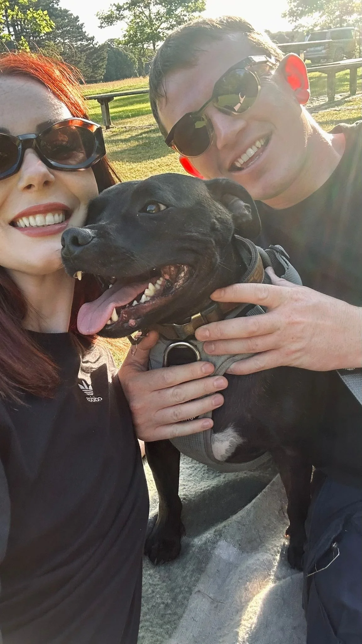 Two smiling people wearing sunglasses are taking a selfie with a black dog outdoors on a sunny day. The woman has red hair and the man has short brown hair. The dog is in the center, with its tongue out and wearing a harness.