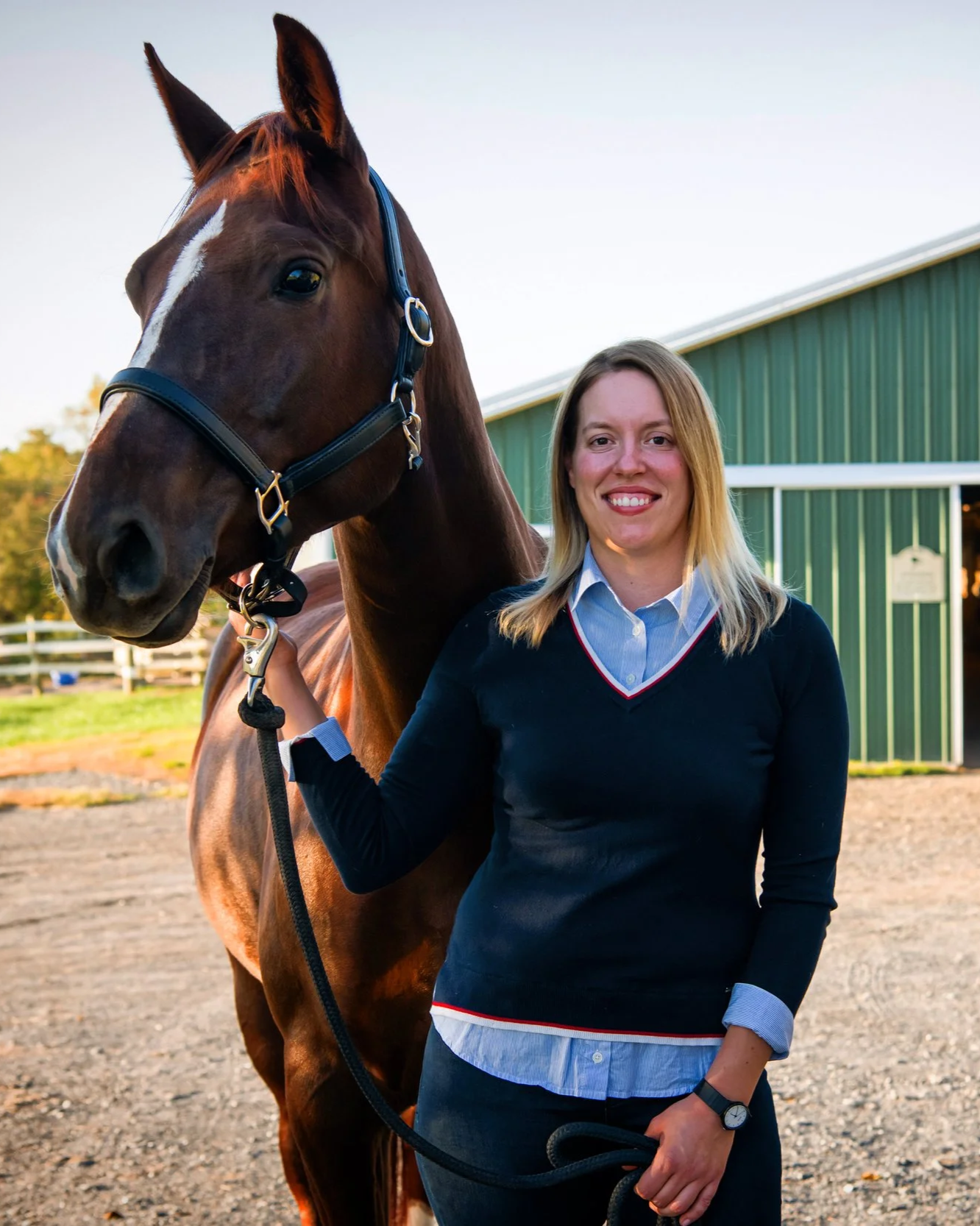 Equine Appraiser, Senior Equine Appraiser, Equine Expert, Horse valuations