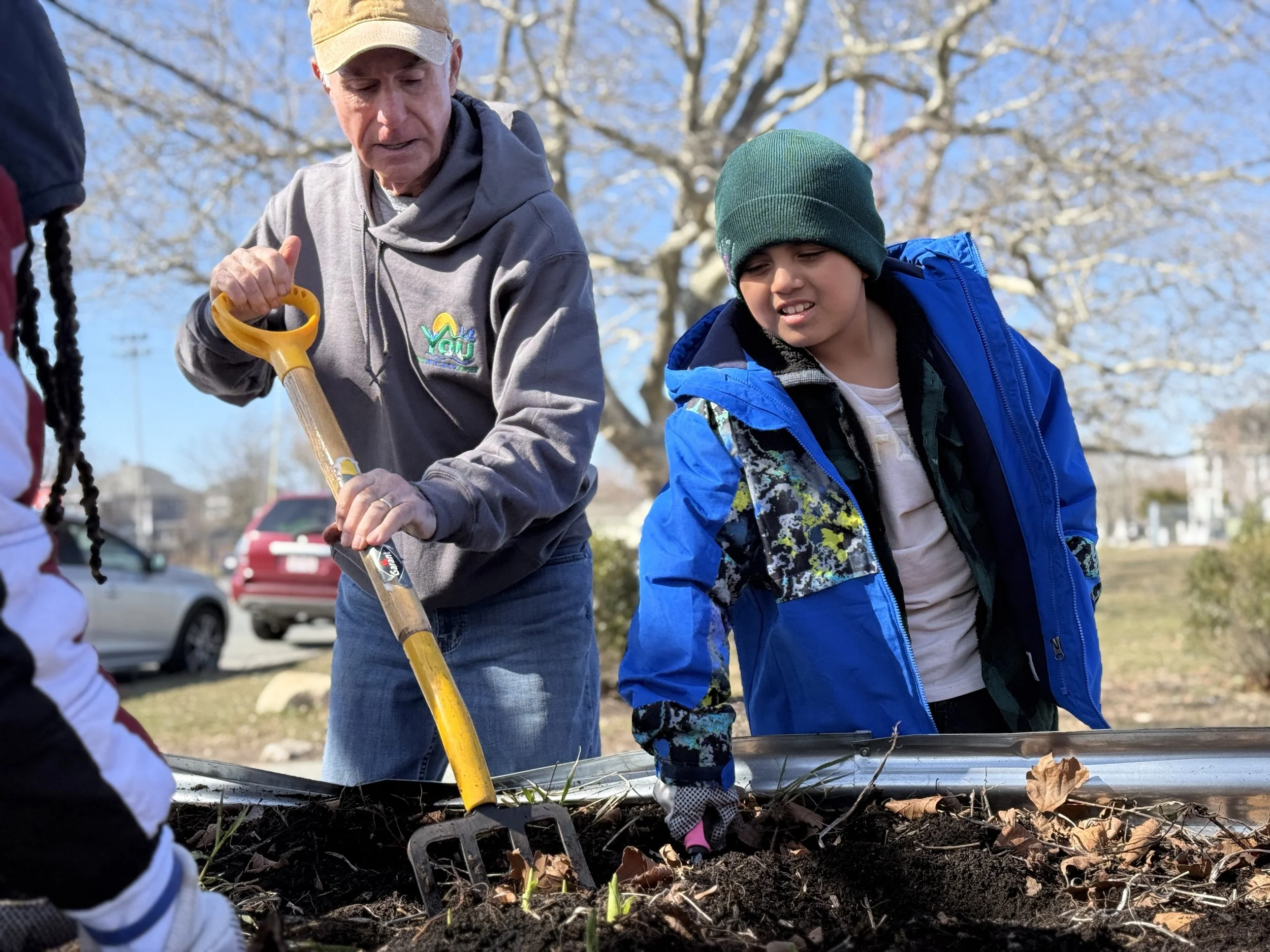 A man and a boy planting small seedlings in soil outdoors on a sunny day, with a tree and parked cars in the background.