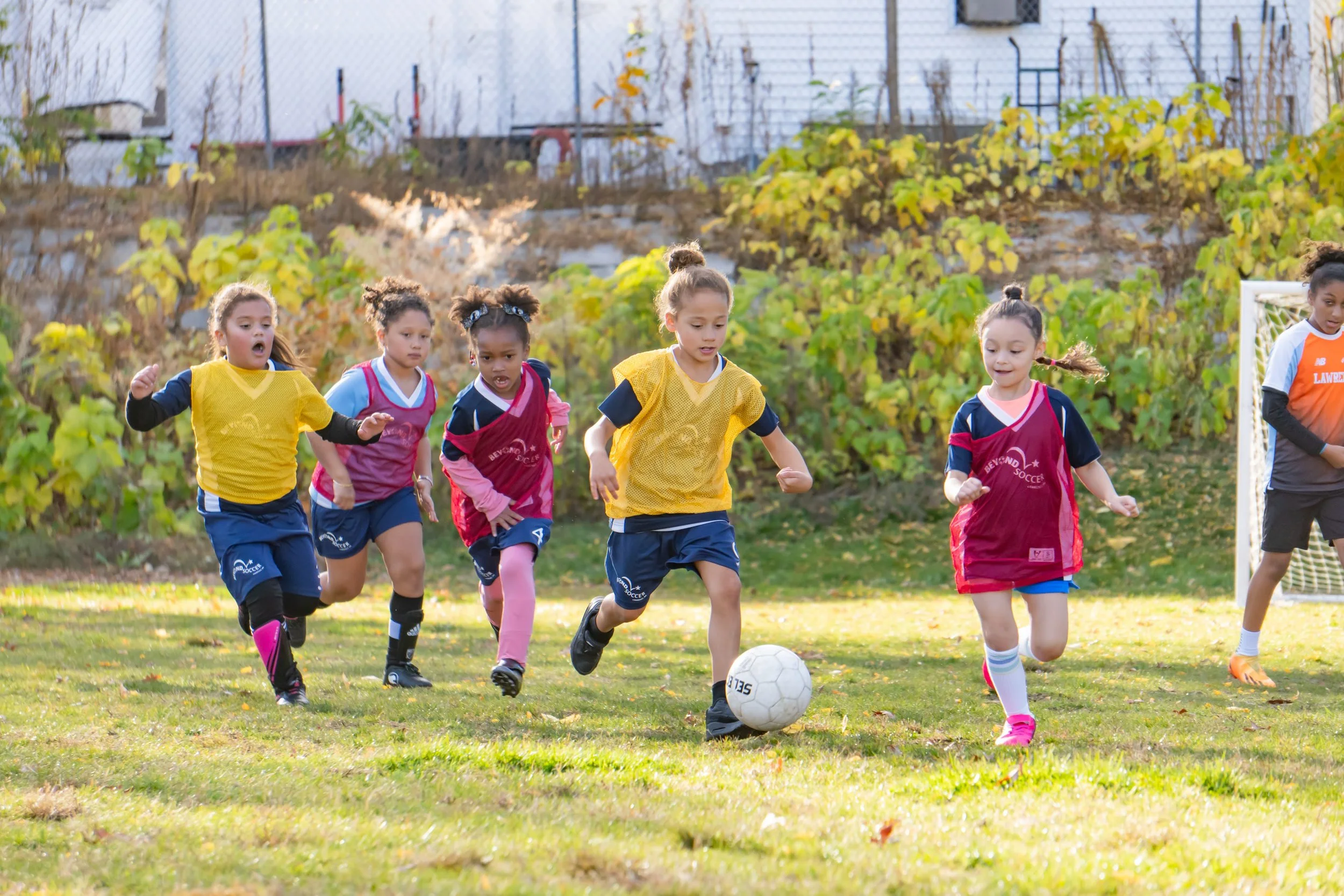 A group of young girls playing soccer outdoors on a grassy field during autumn, wearing colorful sports jerseys and running towards a soccer ball.