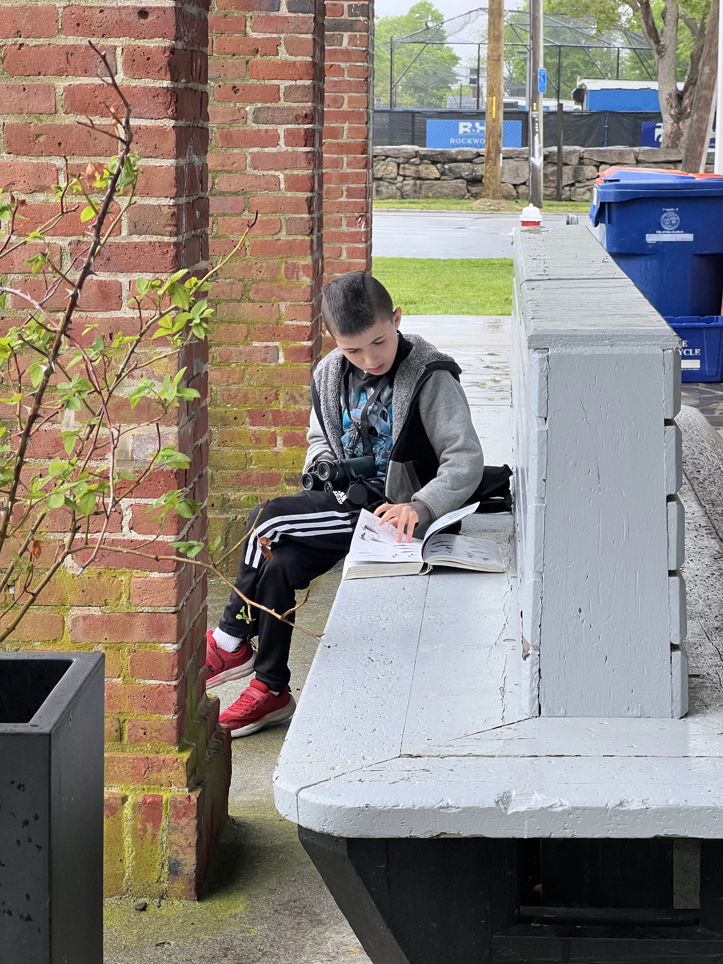 A young boy sitting on a concrete bench reading a book, with a brick wall and some greenery visible in the background.