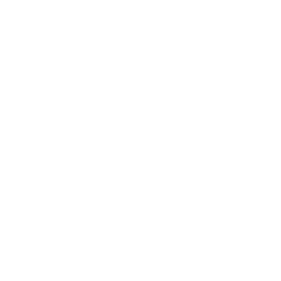 Line drawing of mountains, pine trees, and flying birds on a black background.