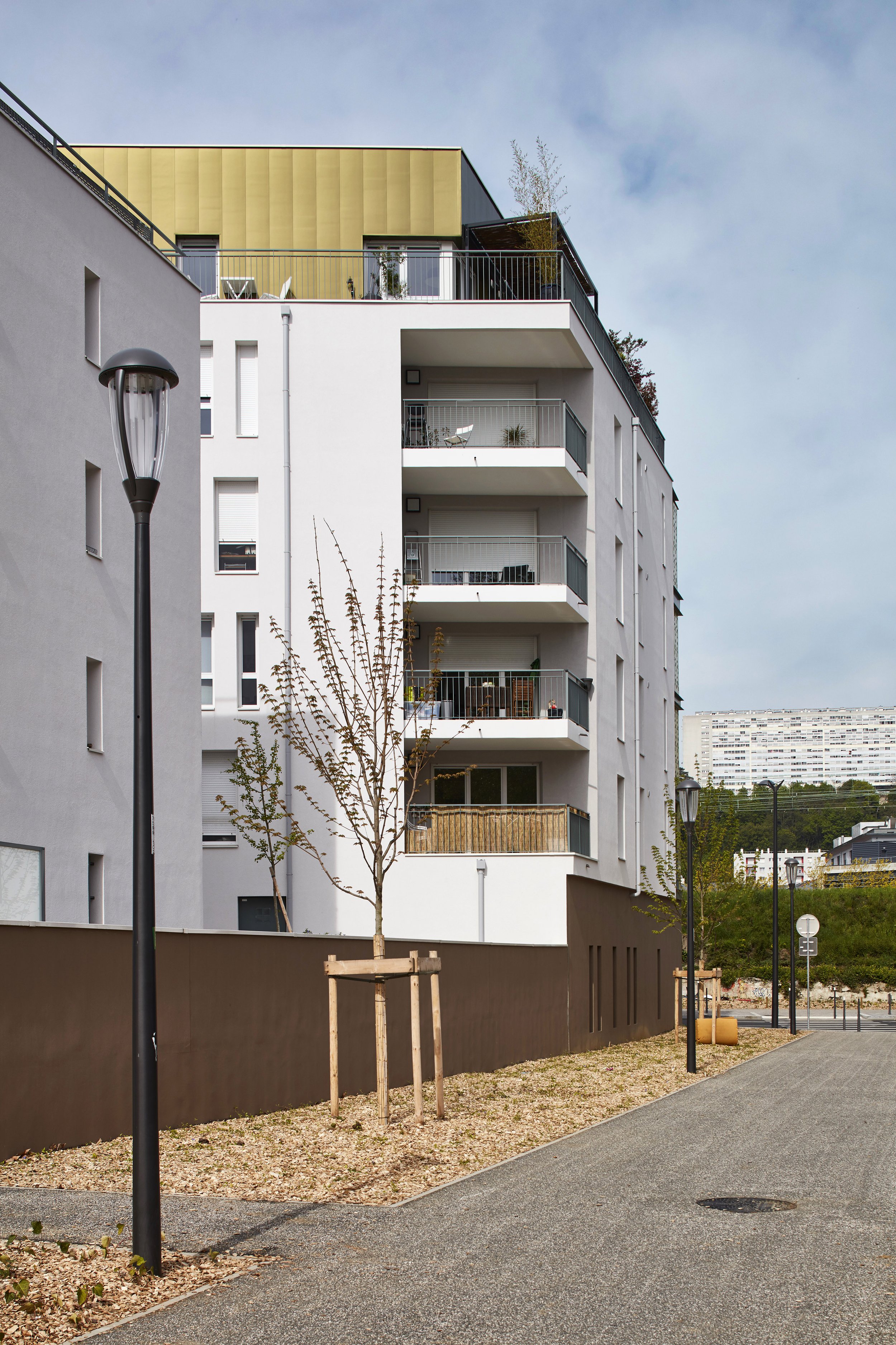 Ginko-2016-04-007.jpg