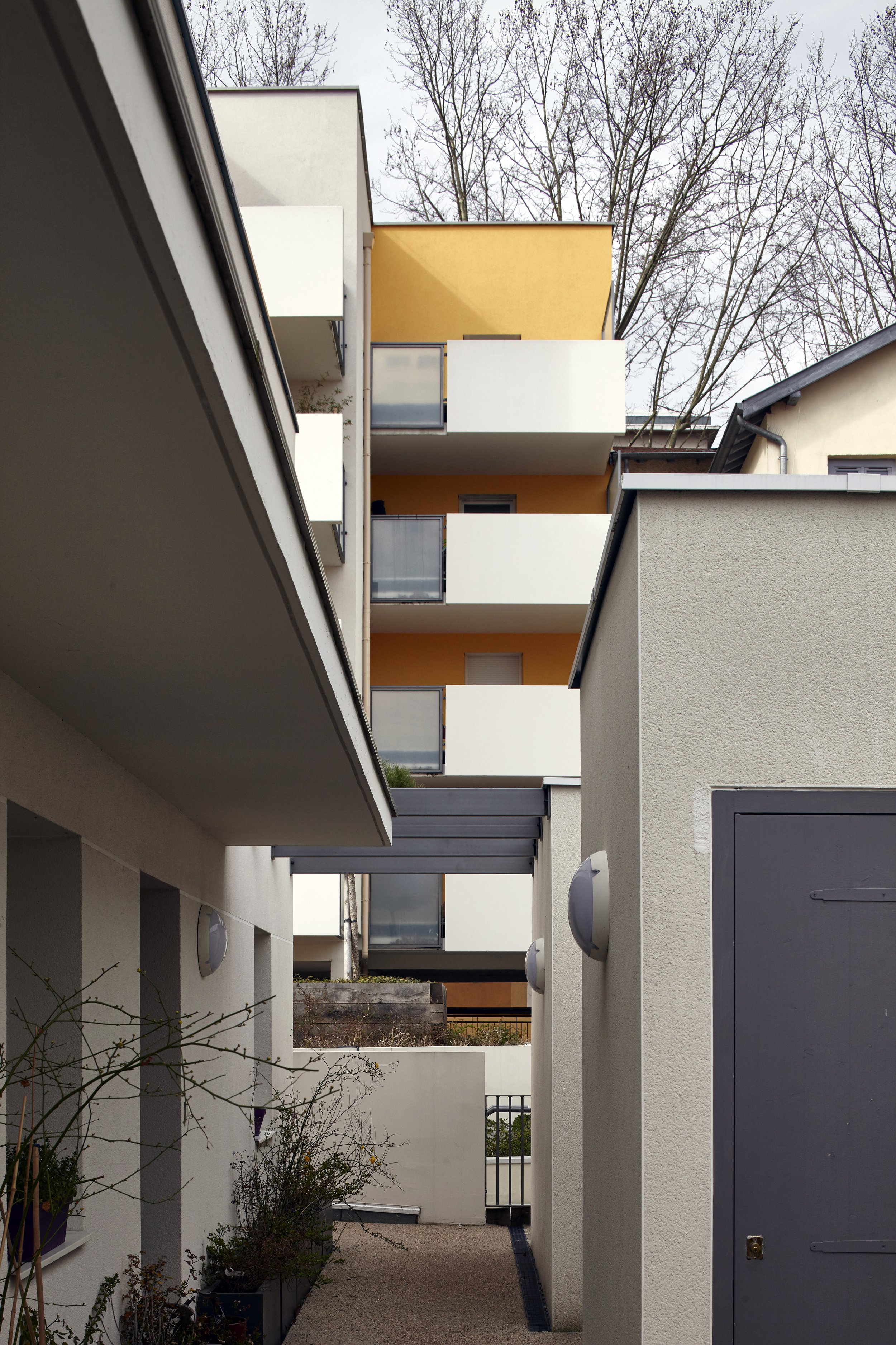 Joannes-Masset-2015-03-016.jpg