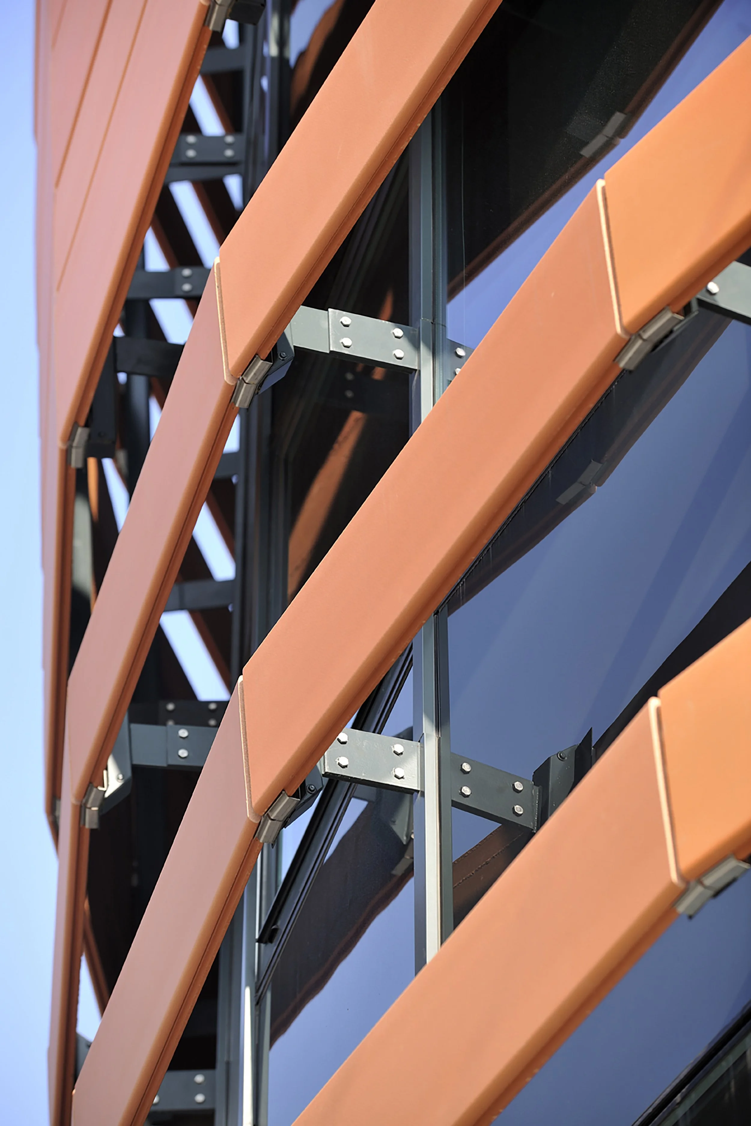opaclyon-14.jpg