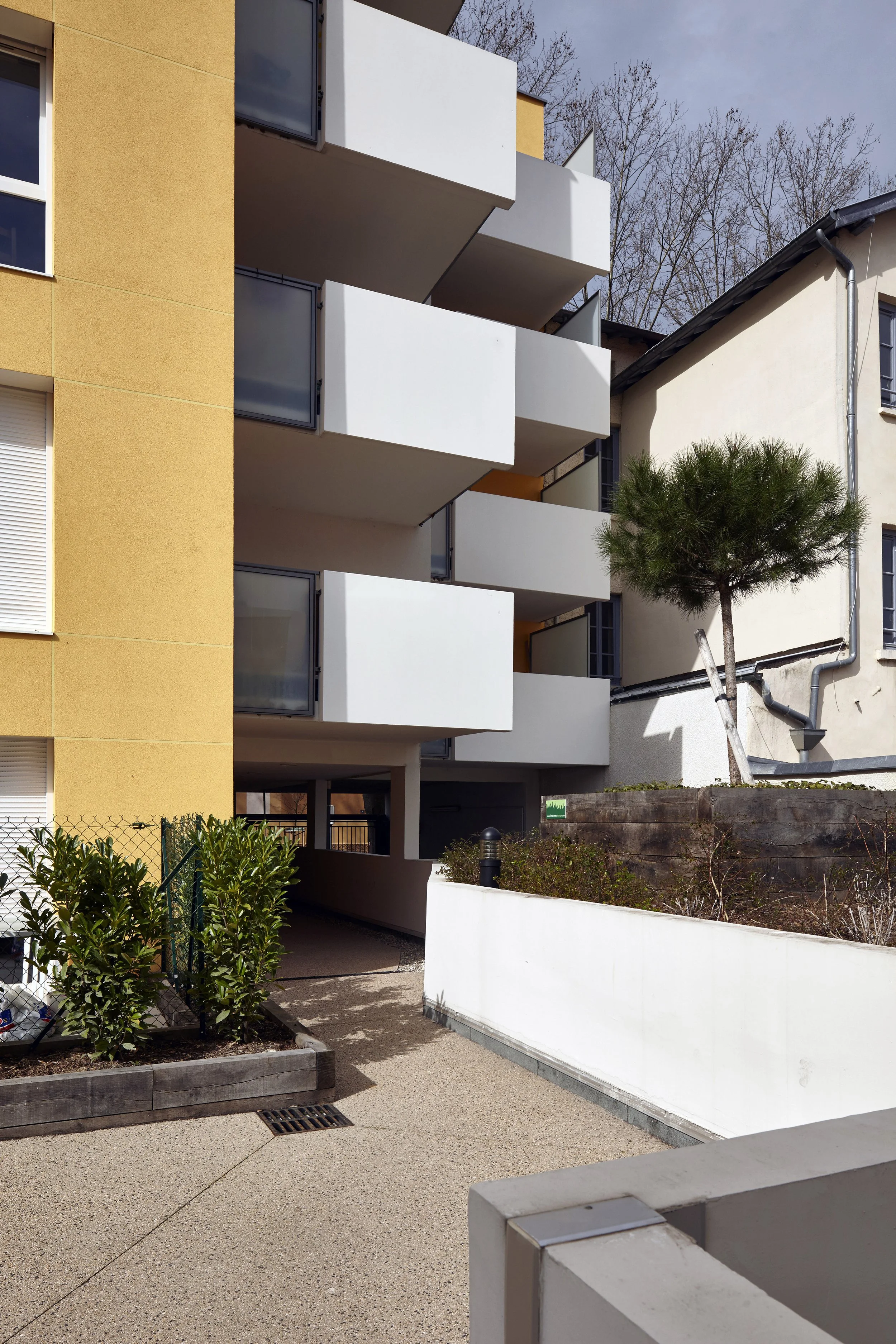 Joannes-Masset-2015-03-015.jpg